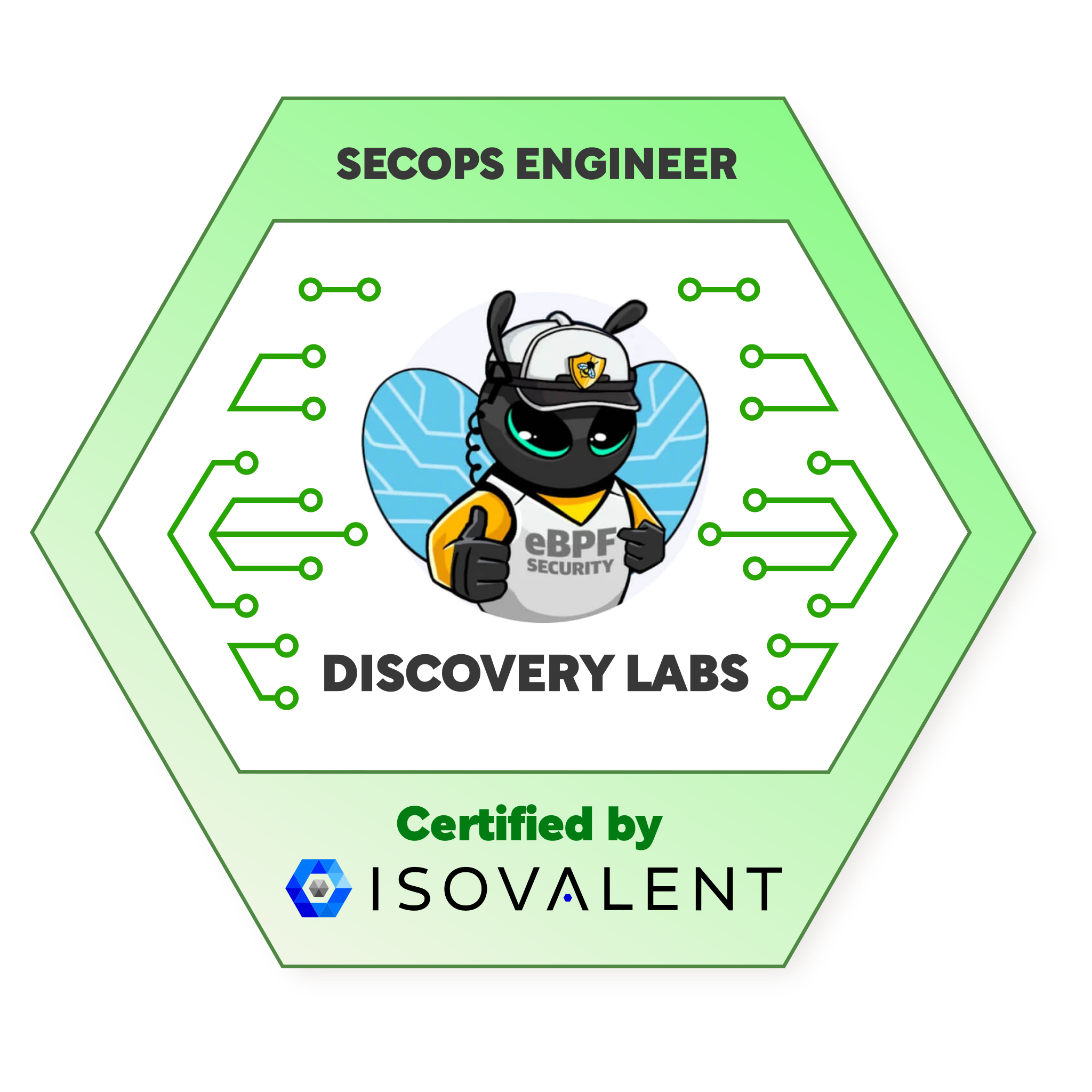 Discovery: SecOps Engineer