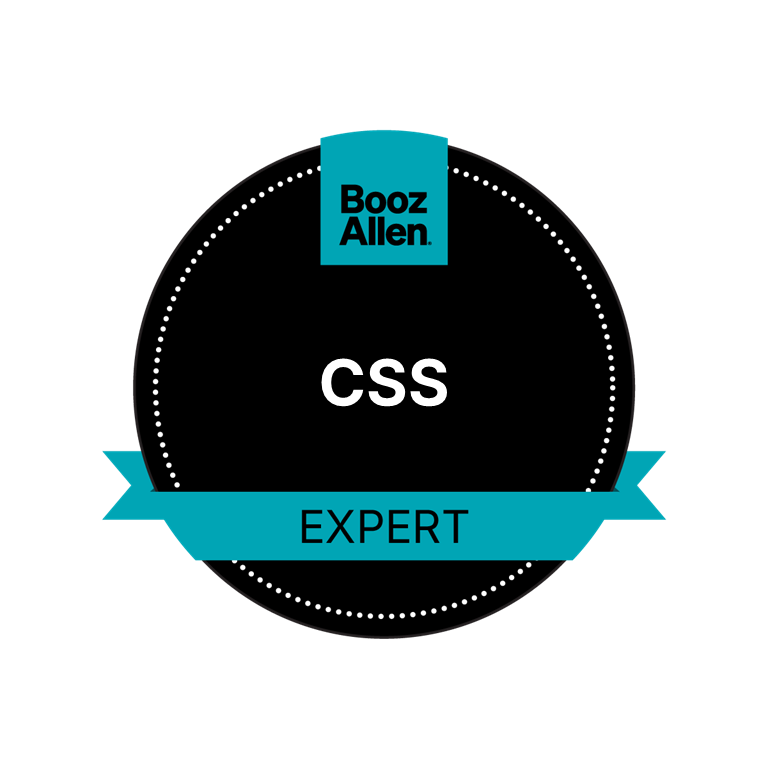 CSS Expert
