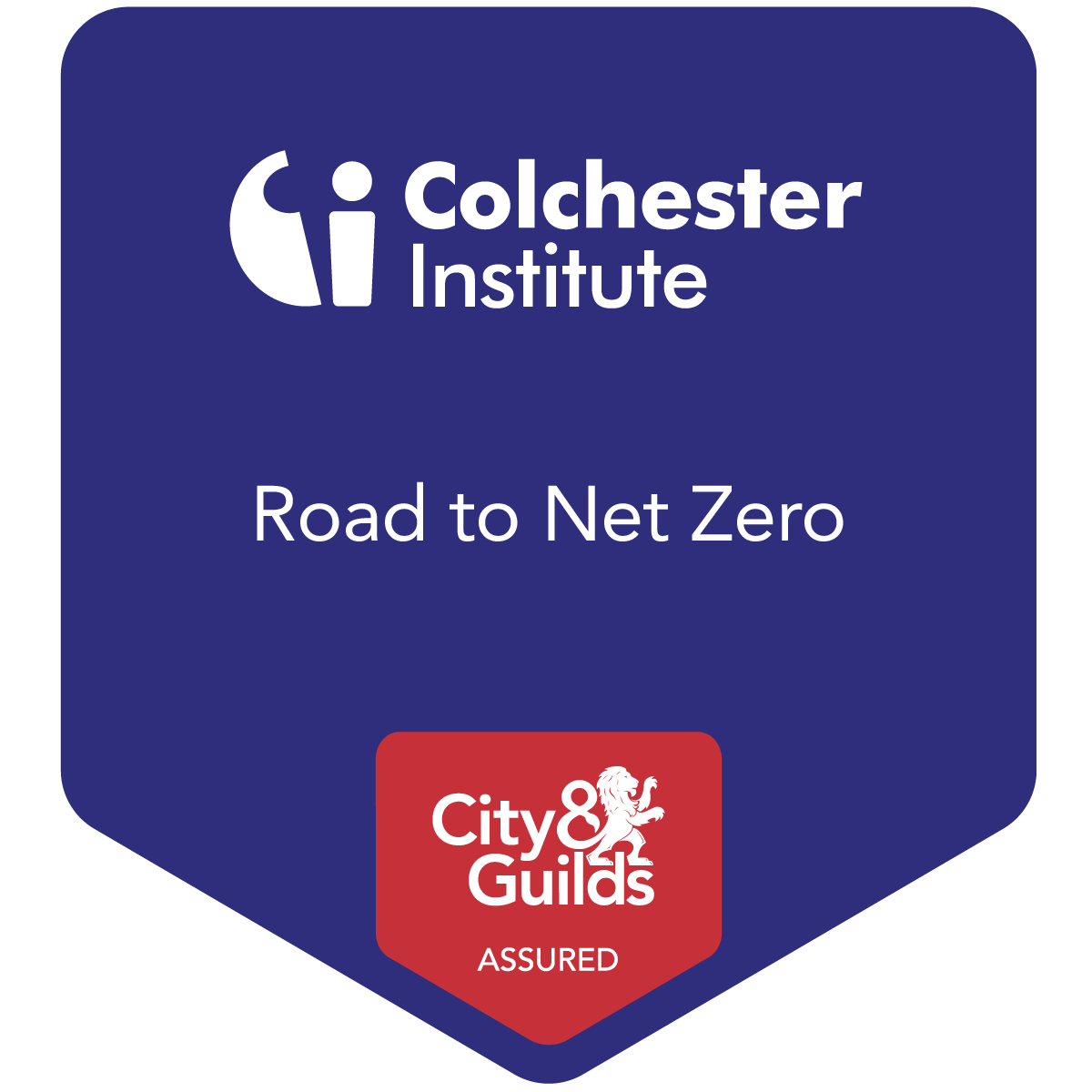 Practical Sustainability Road to Net Zero Credly