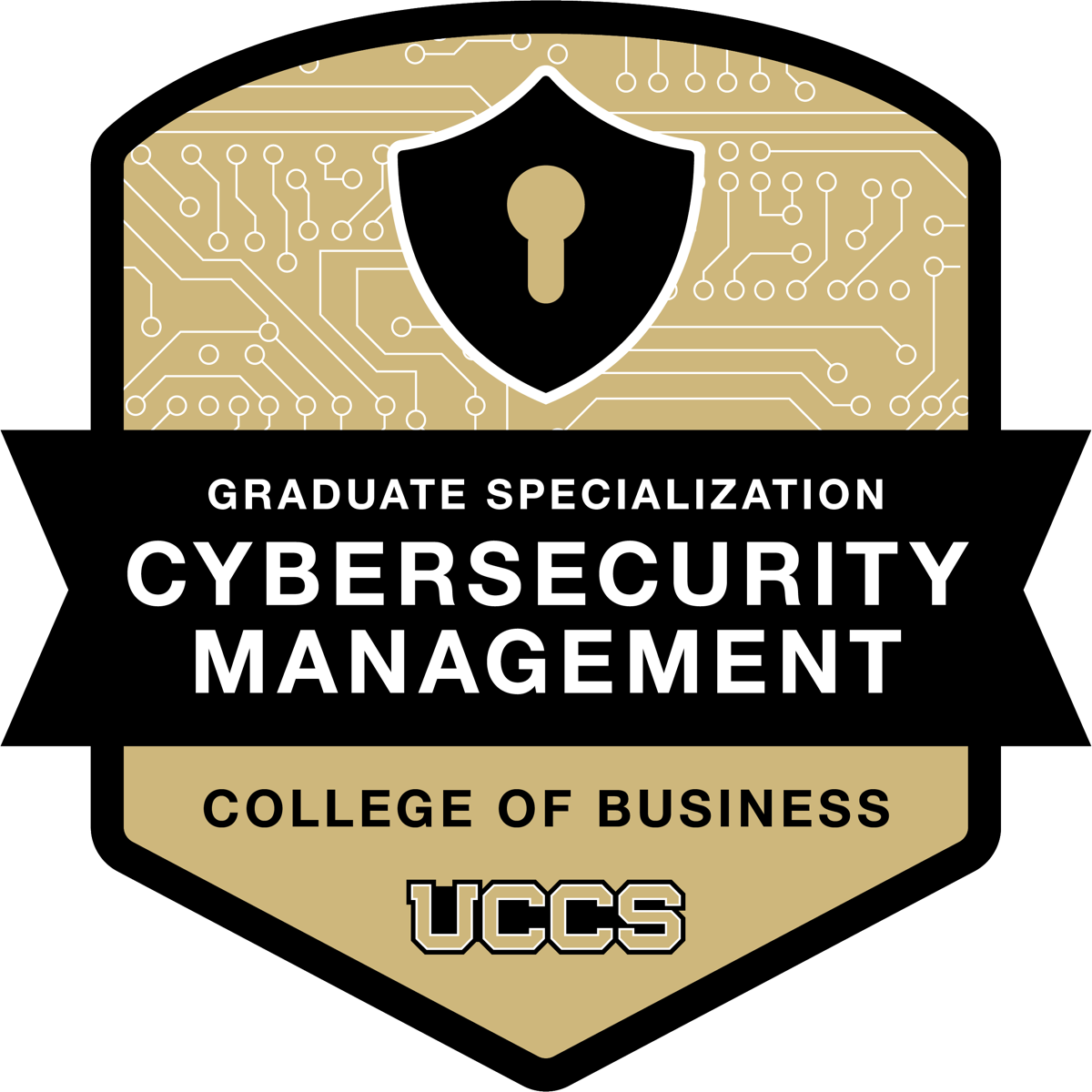 Cybersecurity Management Graduate Specialization