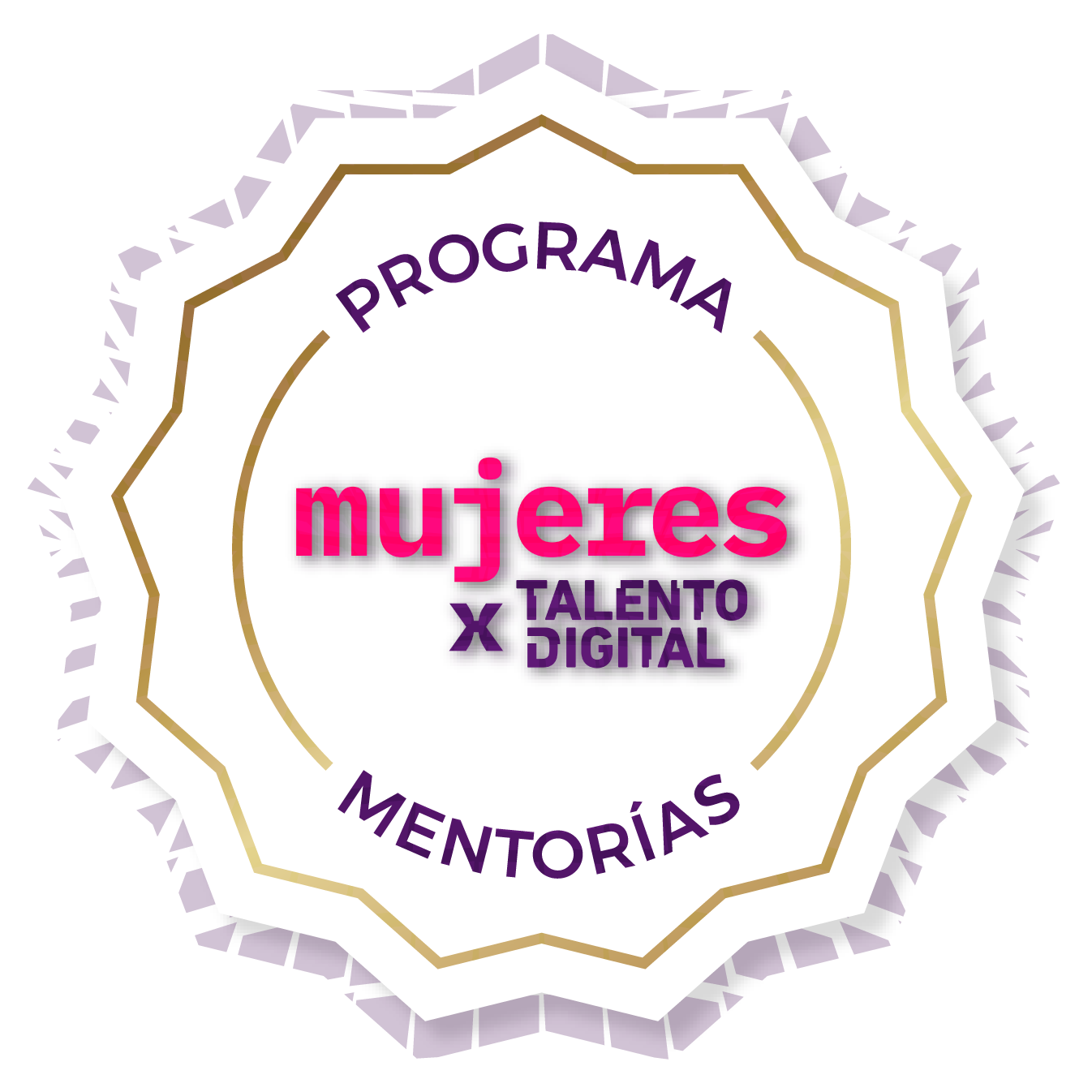 Programa mentorías mujeres Talento Digital