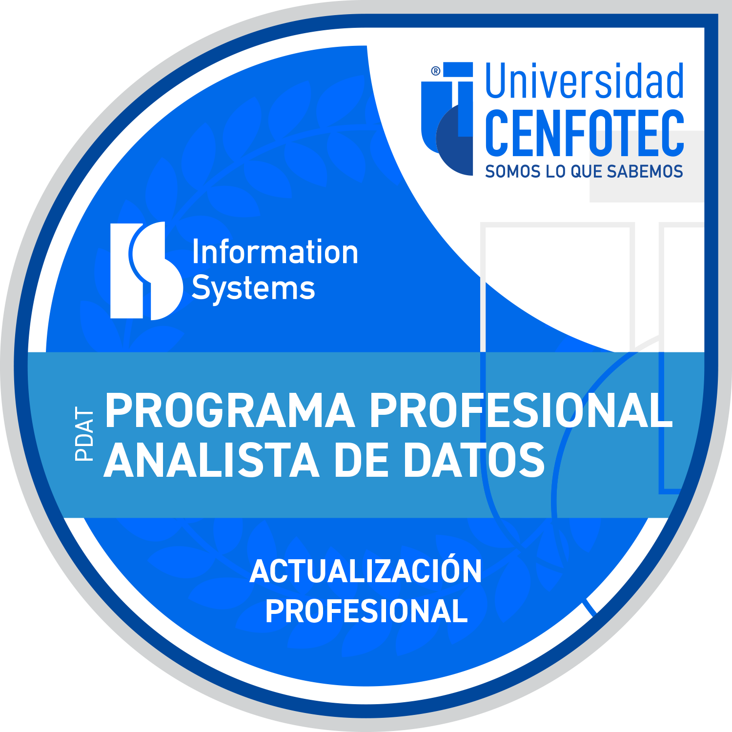 Programa Profesional Analista de Datos
