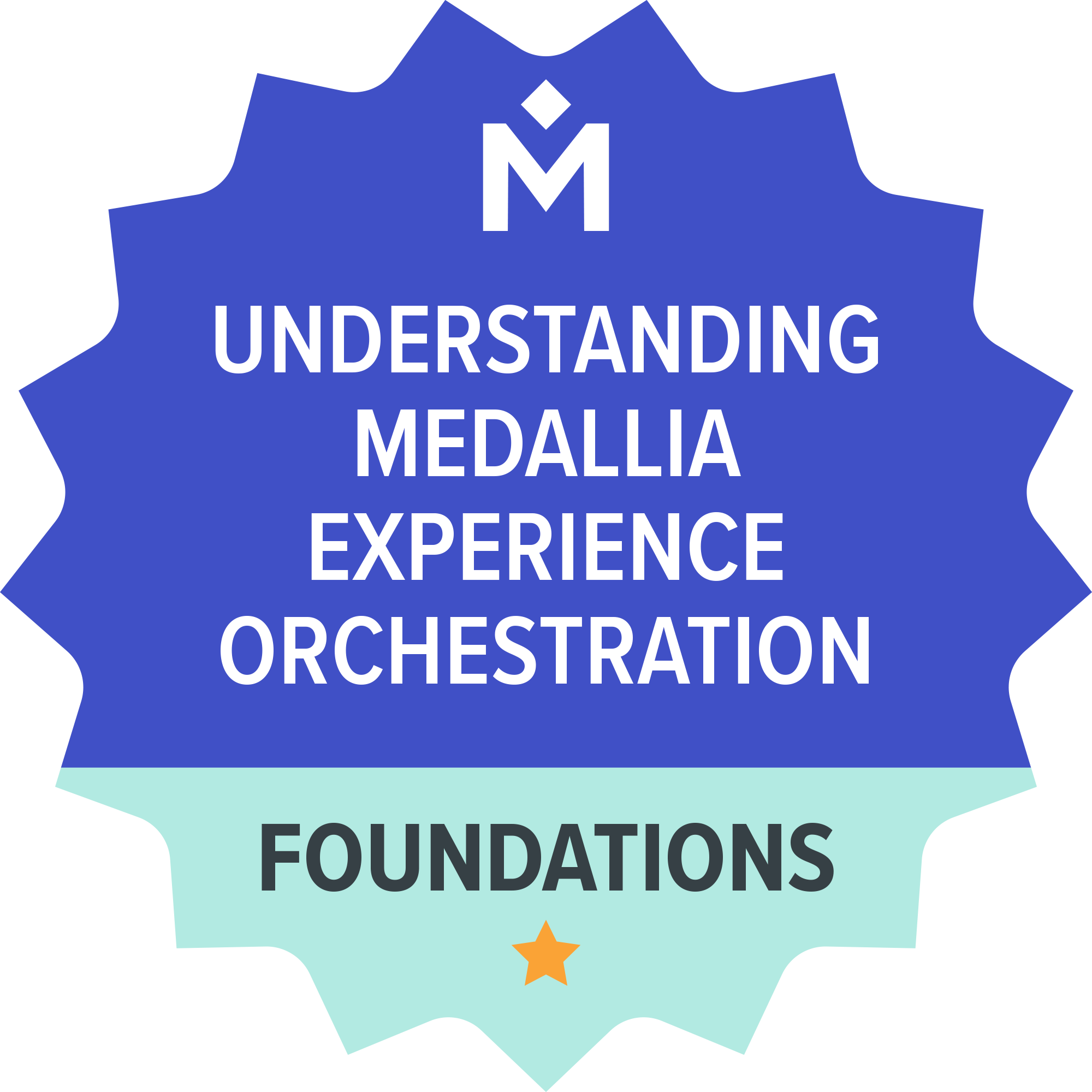 Understanding Medallia Experience Orchestration