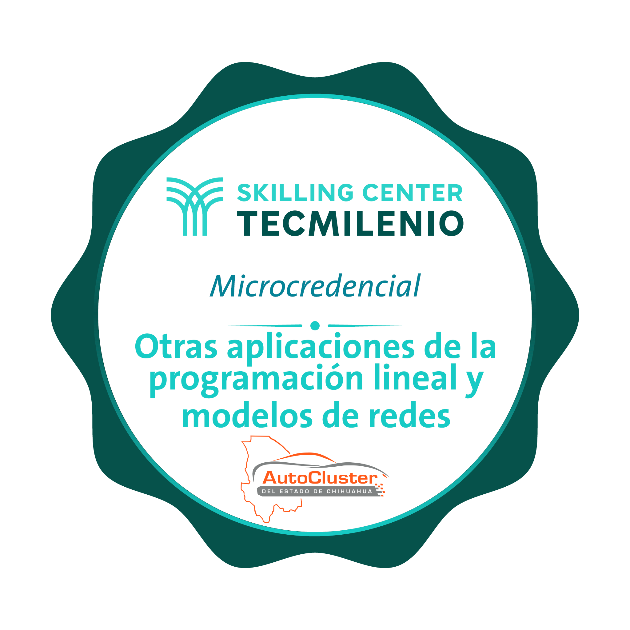 -Microcredencial Otras aplicaciones de la programación lineal y modelos de redes