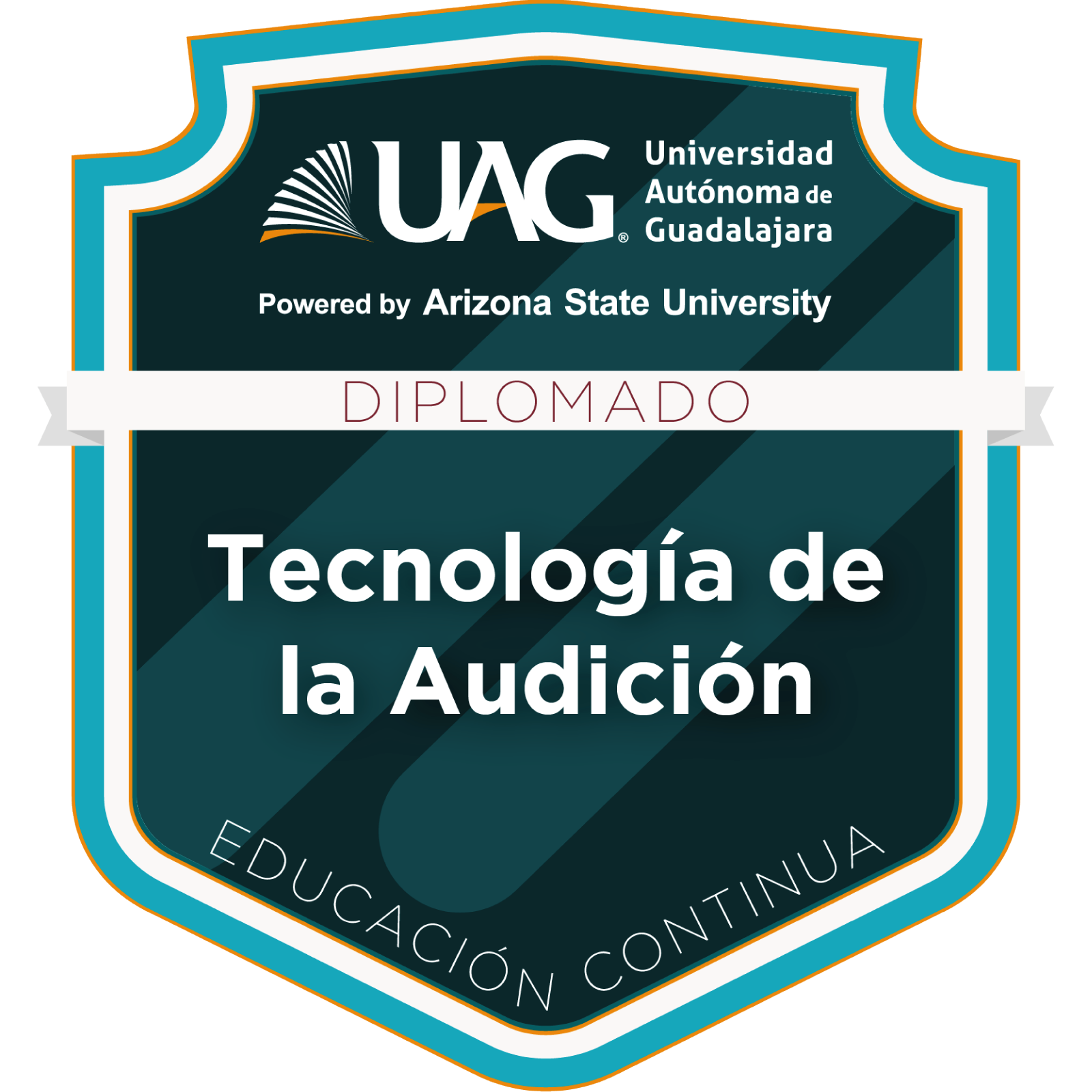 Diplomado en Tecnología de la Audición