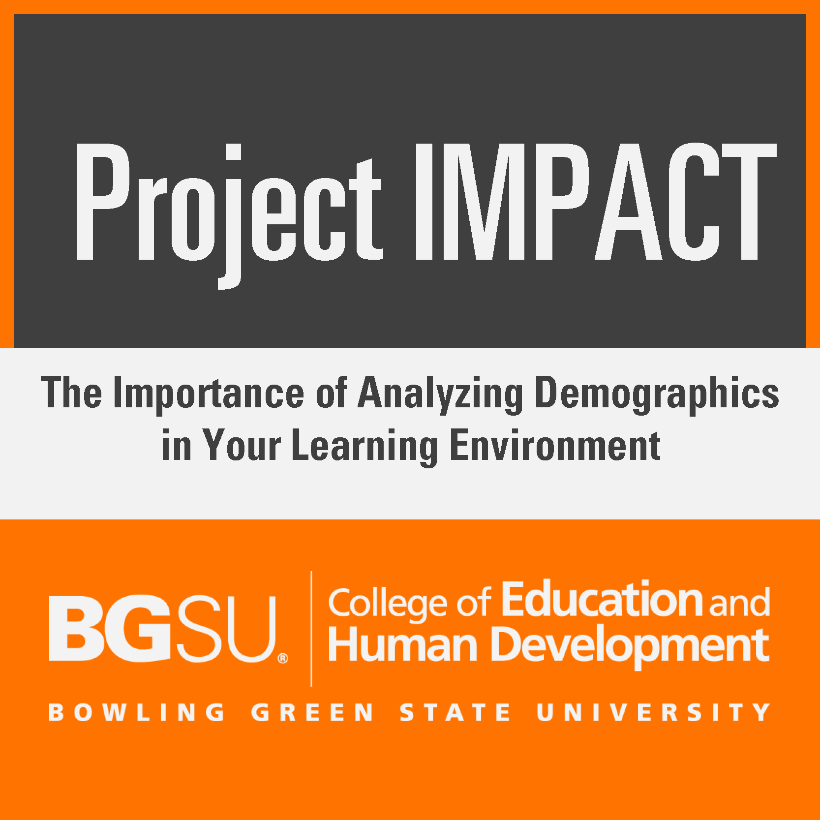 The Importance of Analyzing Demographics in Your Learning Environment