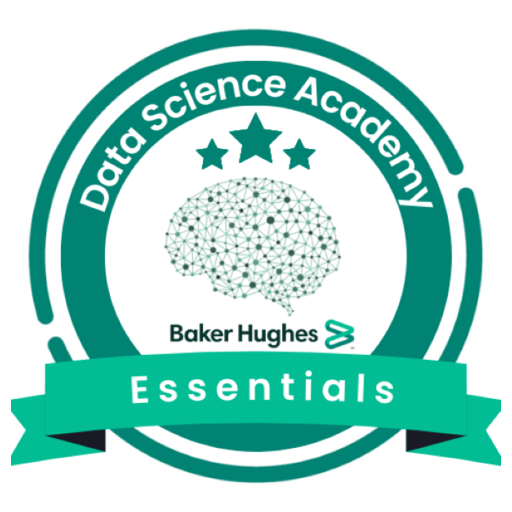 Data Science Academy-Essential - Credly