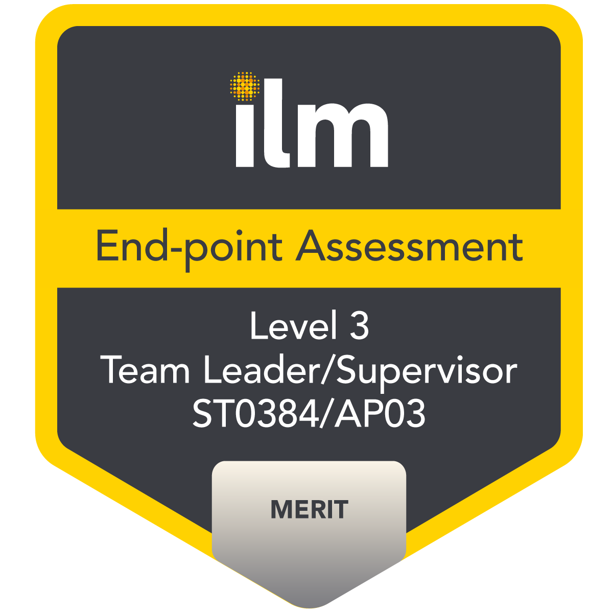 930812 Level 3 Endpoint Assessment for ST0384/AP03 Team Leader