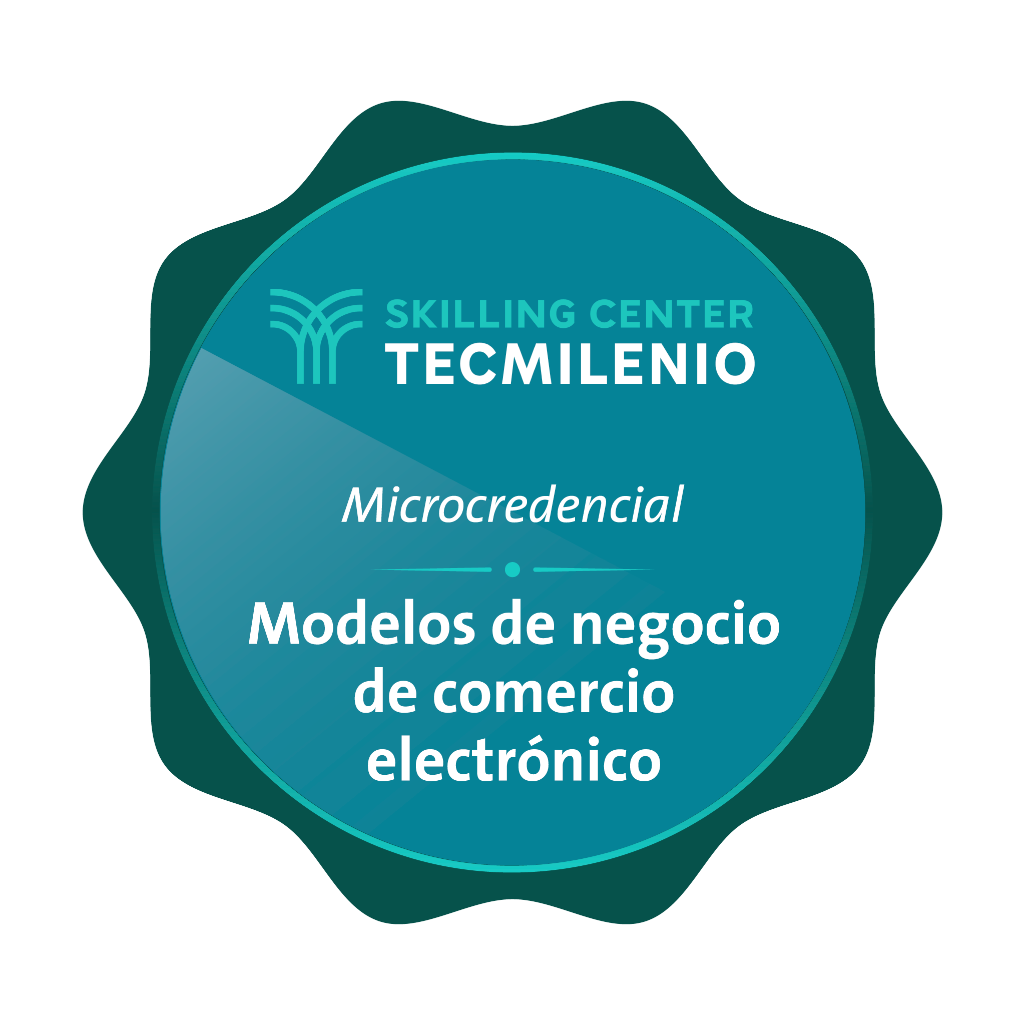 Microcredencial Modelos de negocio de comercio electrónico