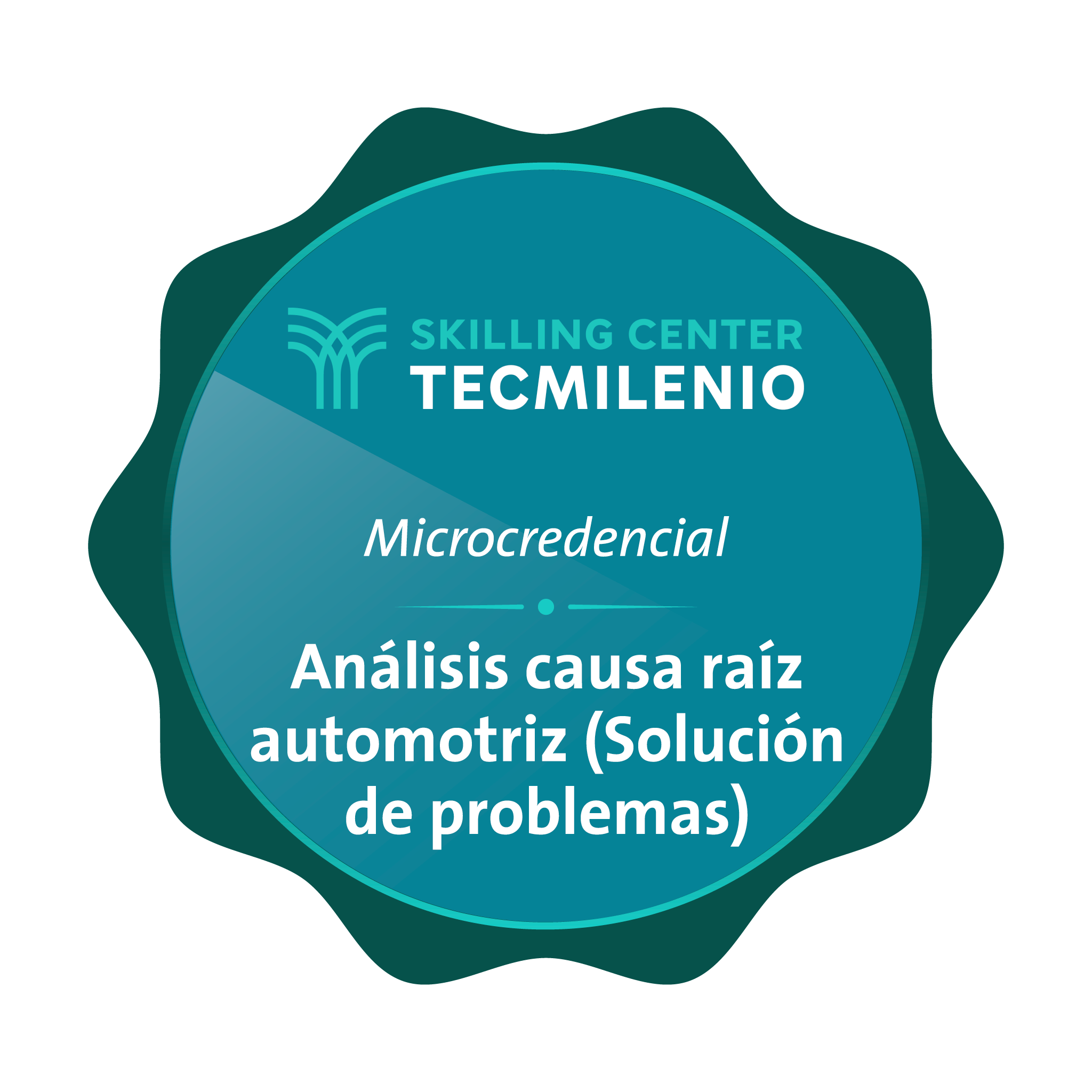 Microcredencial Análisis causa raíz automotriz (Solución de problemas)