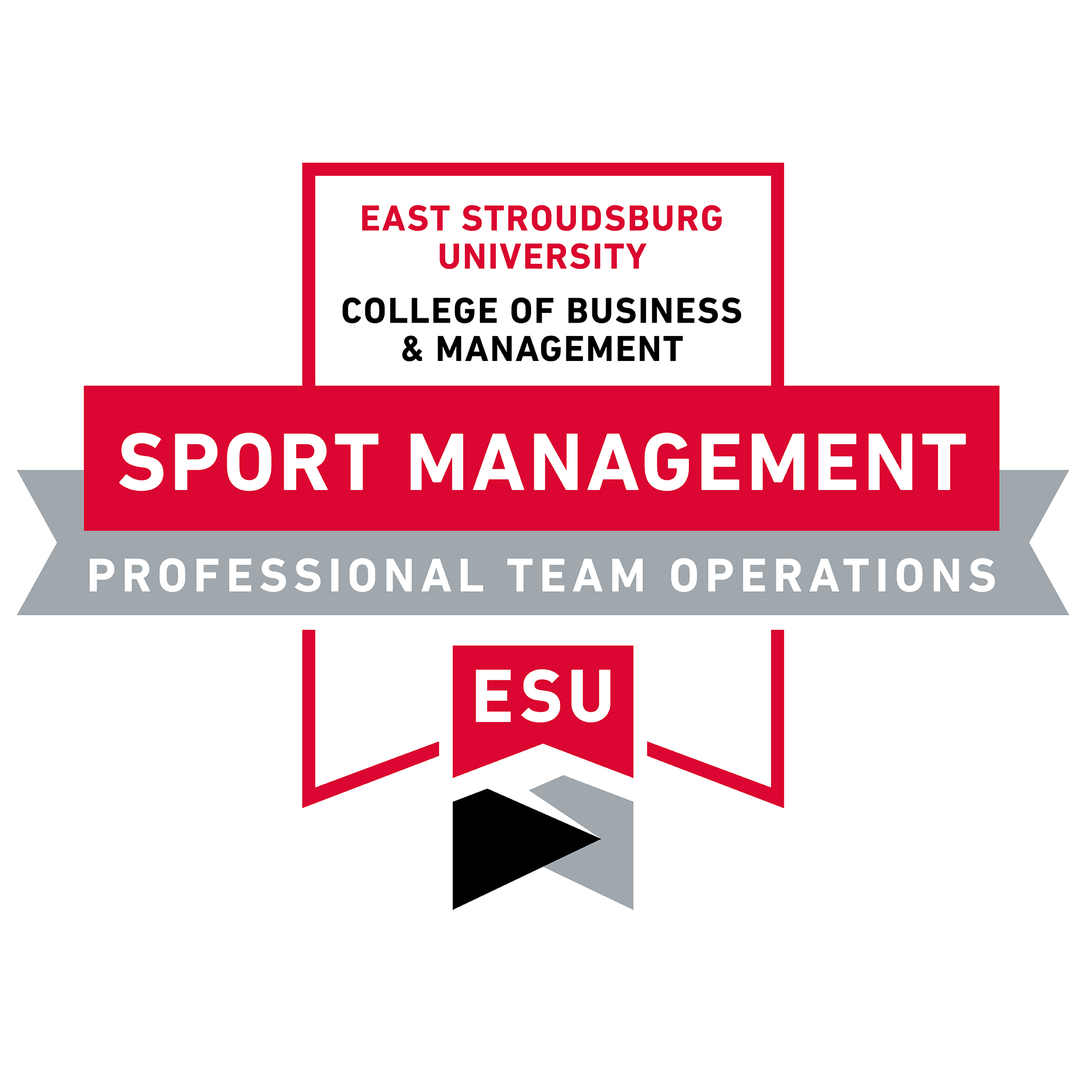 SMGT Professional Sport Team Operations