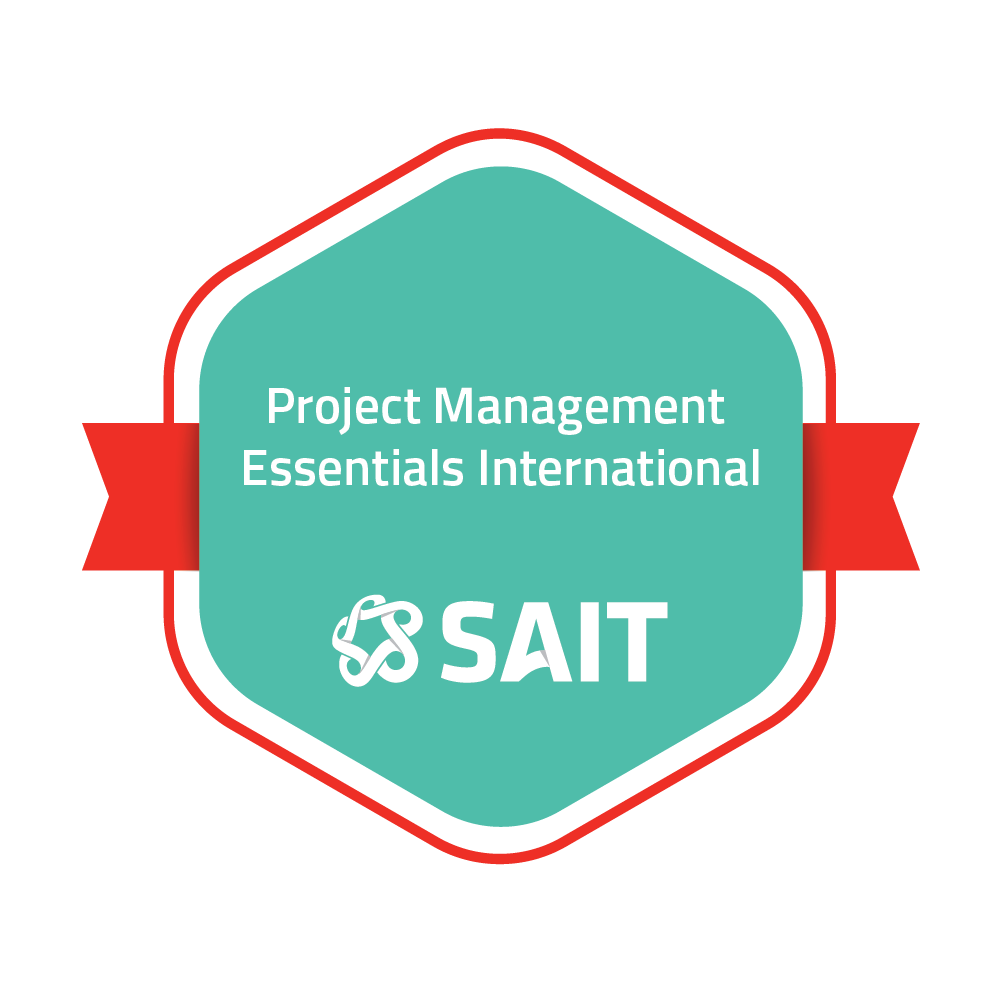 Project Management Essentials International
