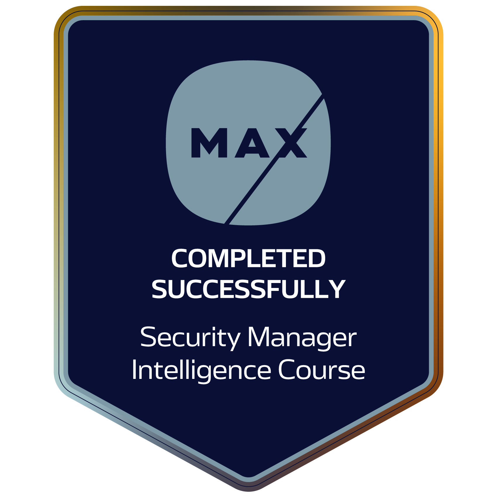 MAX Security Manager Intelligence Training