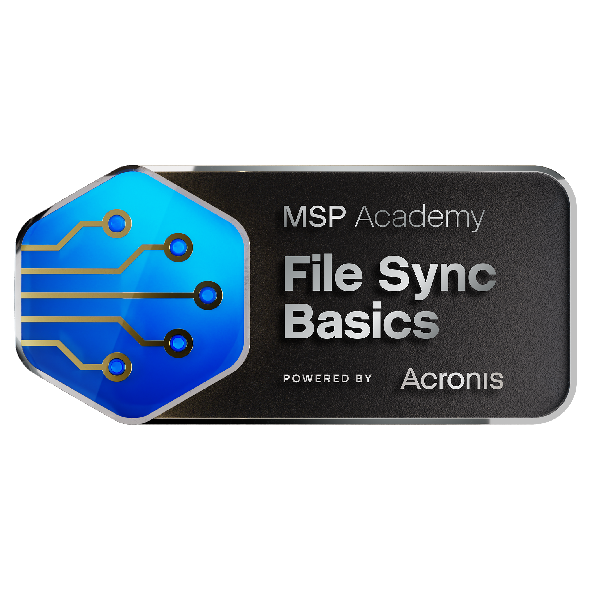 MSP Academy: File Sync and Share