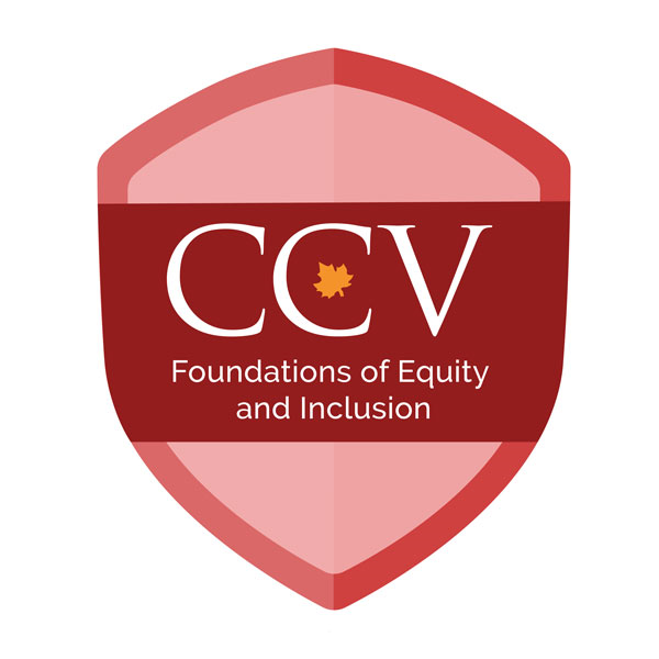 Foundations of Equity & Inclusion