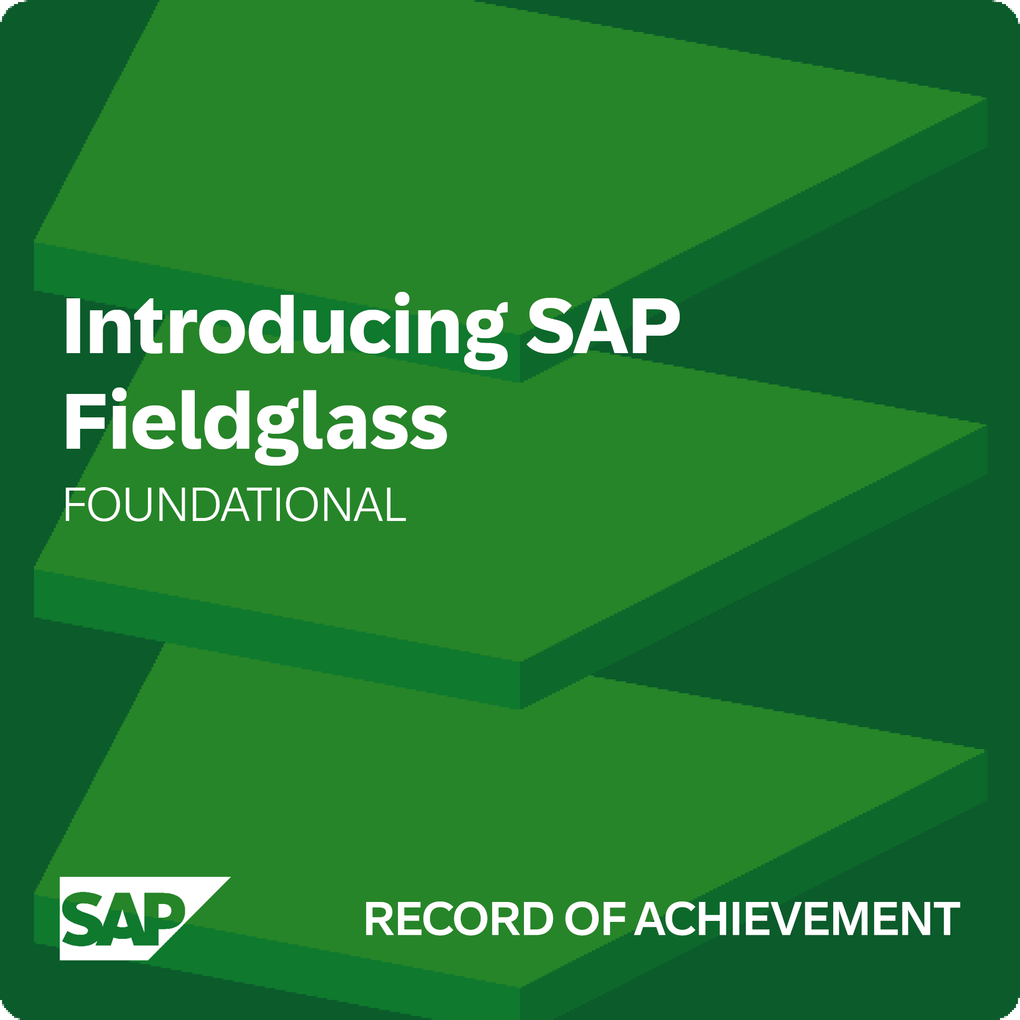 Introducing SAP Fieldglass - Record of Achievement