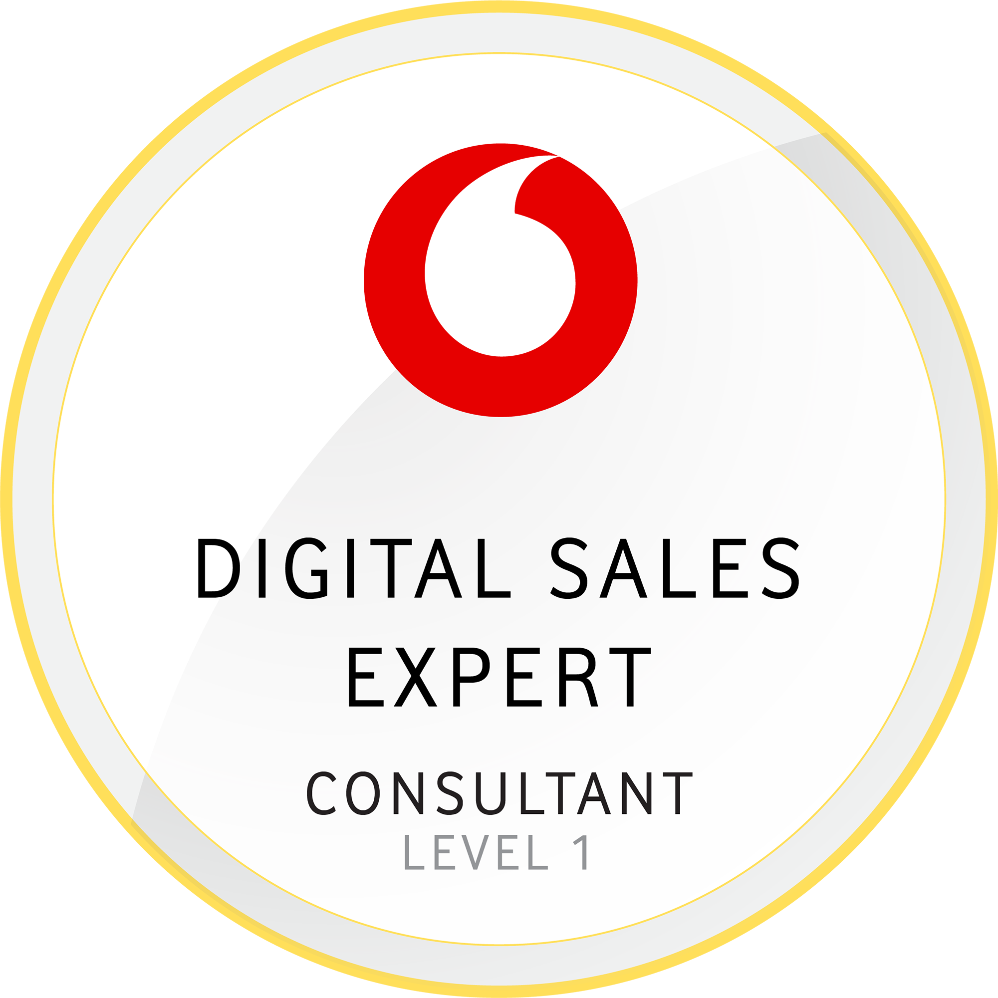 Digital Sales Consultative Level 1