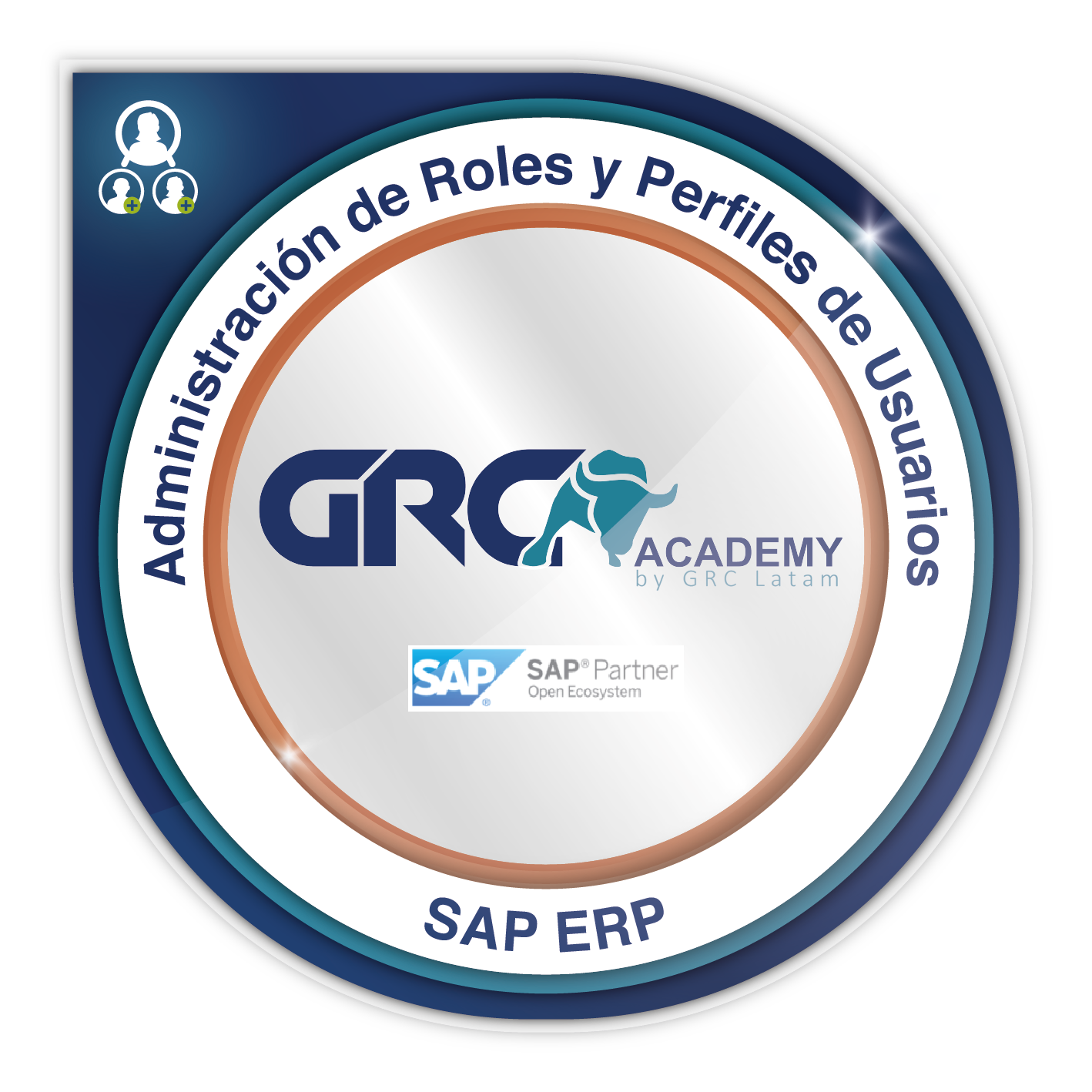 Administración de Roles y Perfiles de Usuarios SAP ERP