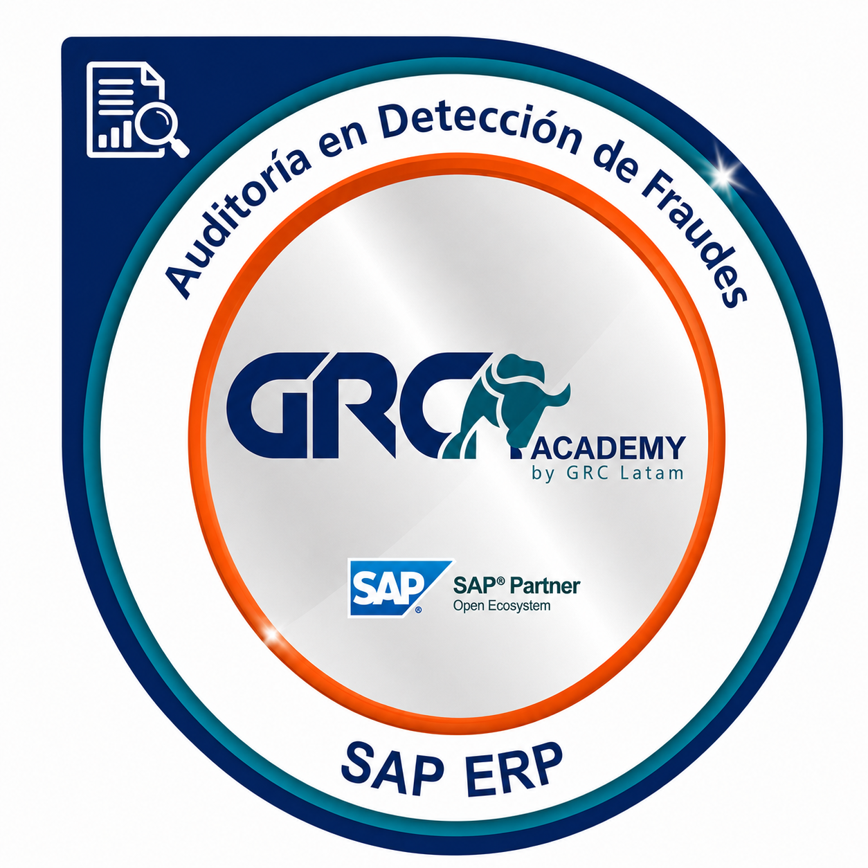 Auditoría en Detección de Fraudes SAP ERP