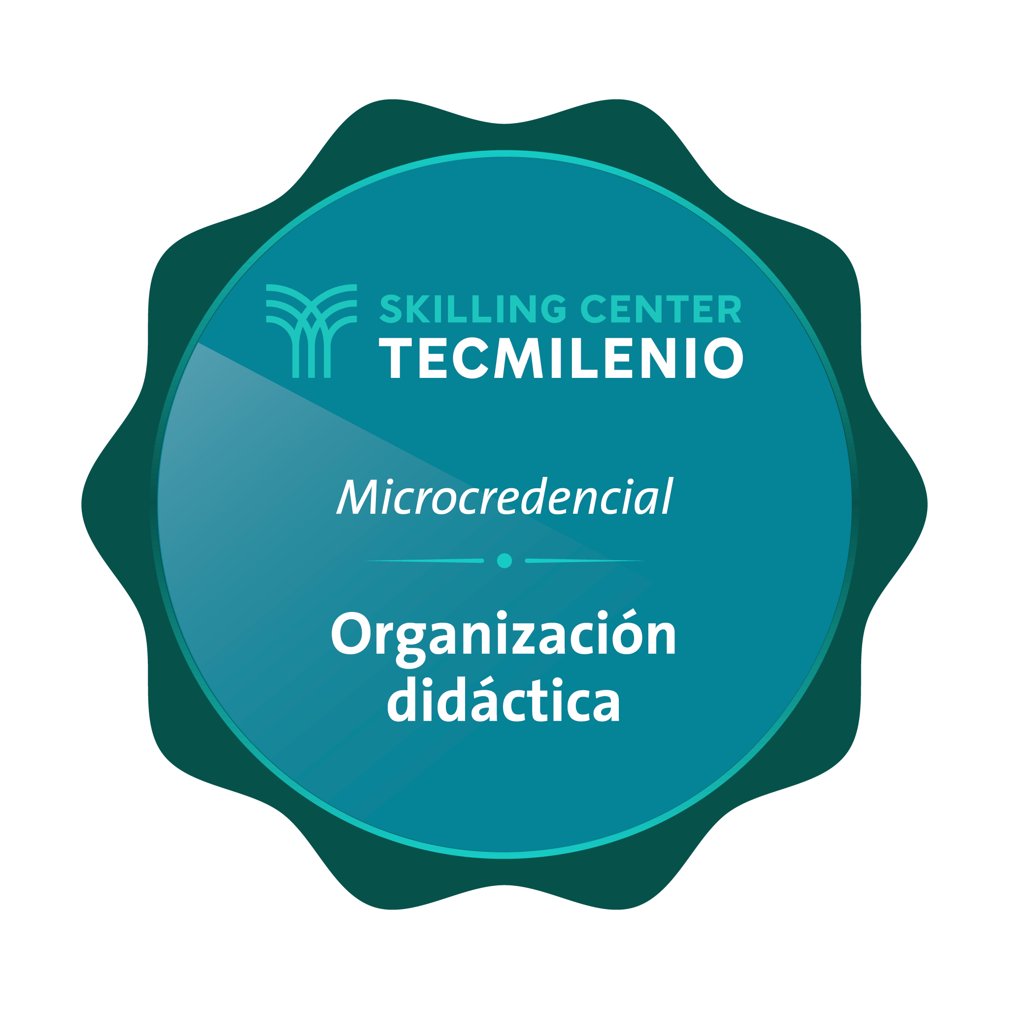 Microcredencial Organización didáctica