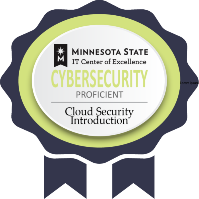 Introduction to Cybersecurity - Cloud Security Introduction