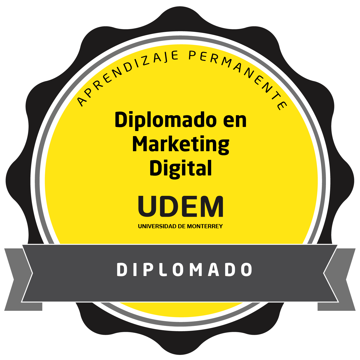 Diplomado en Marketing Digital