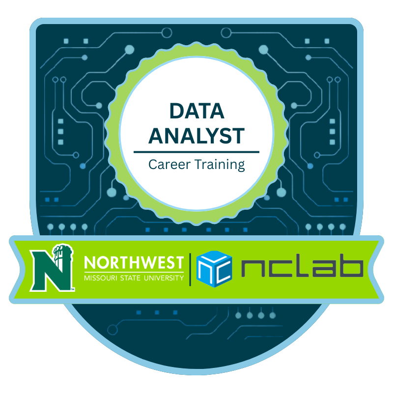 Data Analyst