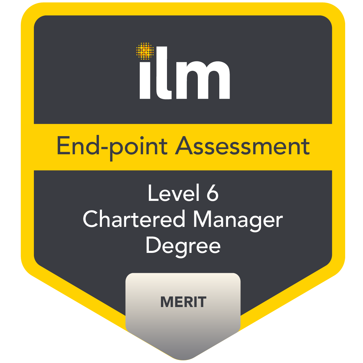 9310-12 Level 6 Chartered Manager Degree - Merit