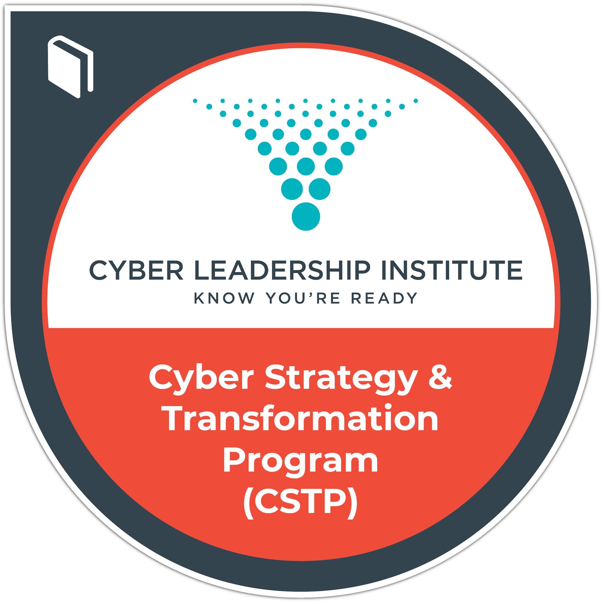 Cyber Strategy and Transformation Program