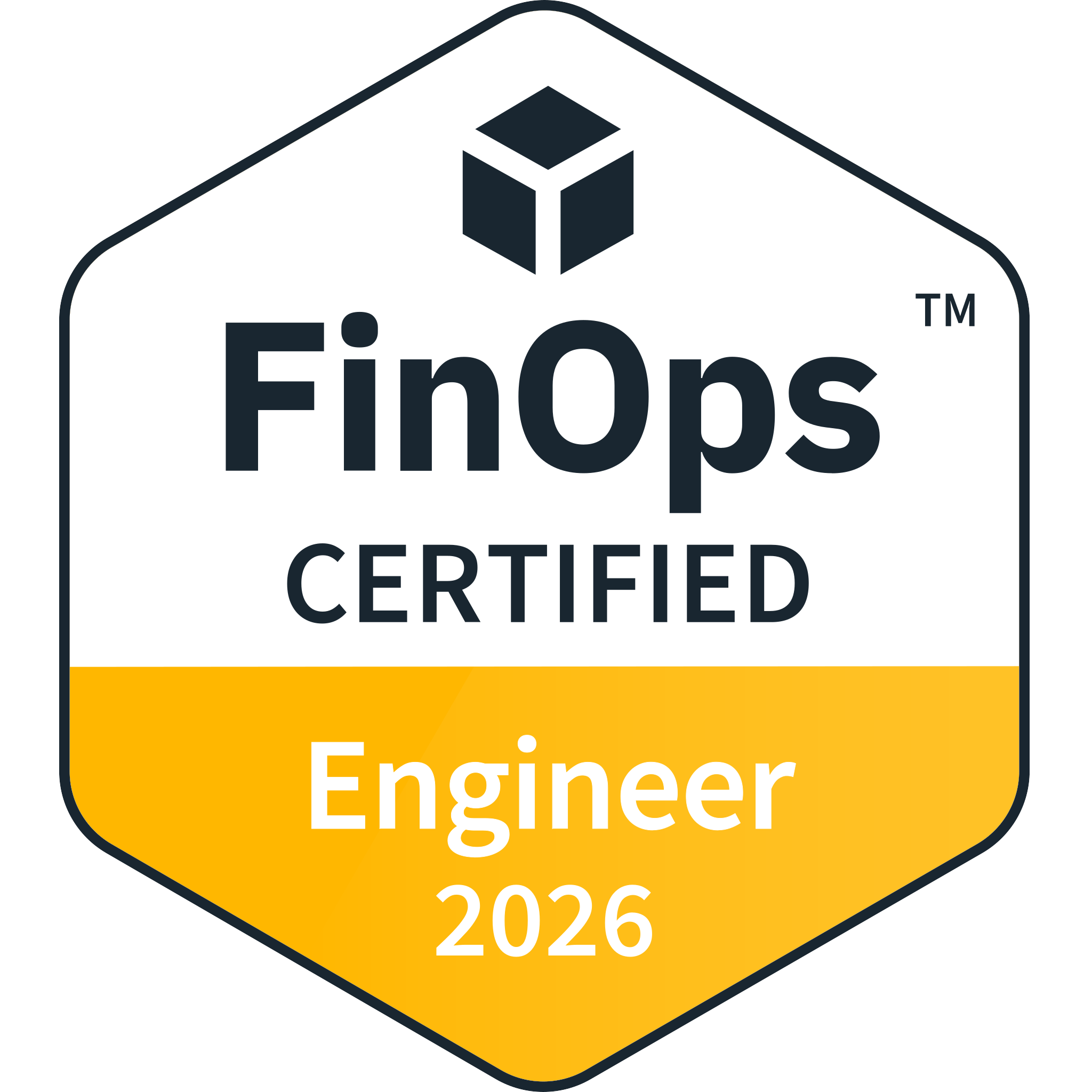 FinOps Engineer