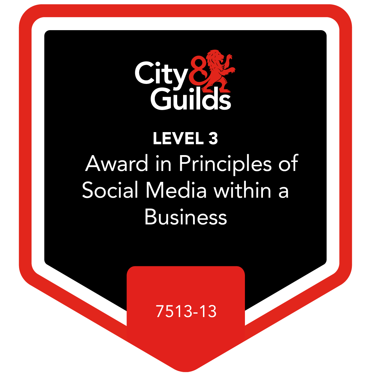 Level 3 Award in Principles of Social Media within a Business (7513