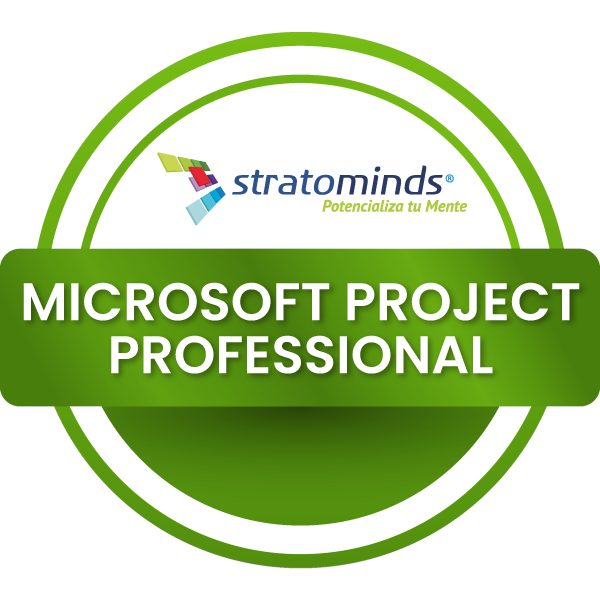Curso Microsoft Project para Líderes de Proyecto