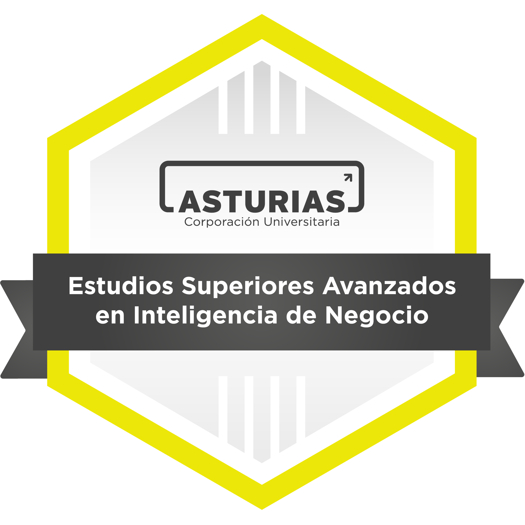 Certificado de Estudios Superiores Avanzados en Inteligencia de Negocios
