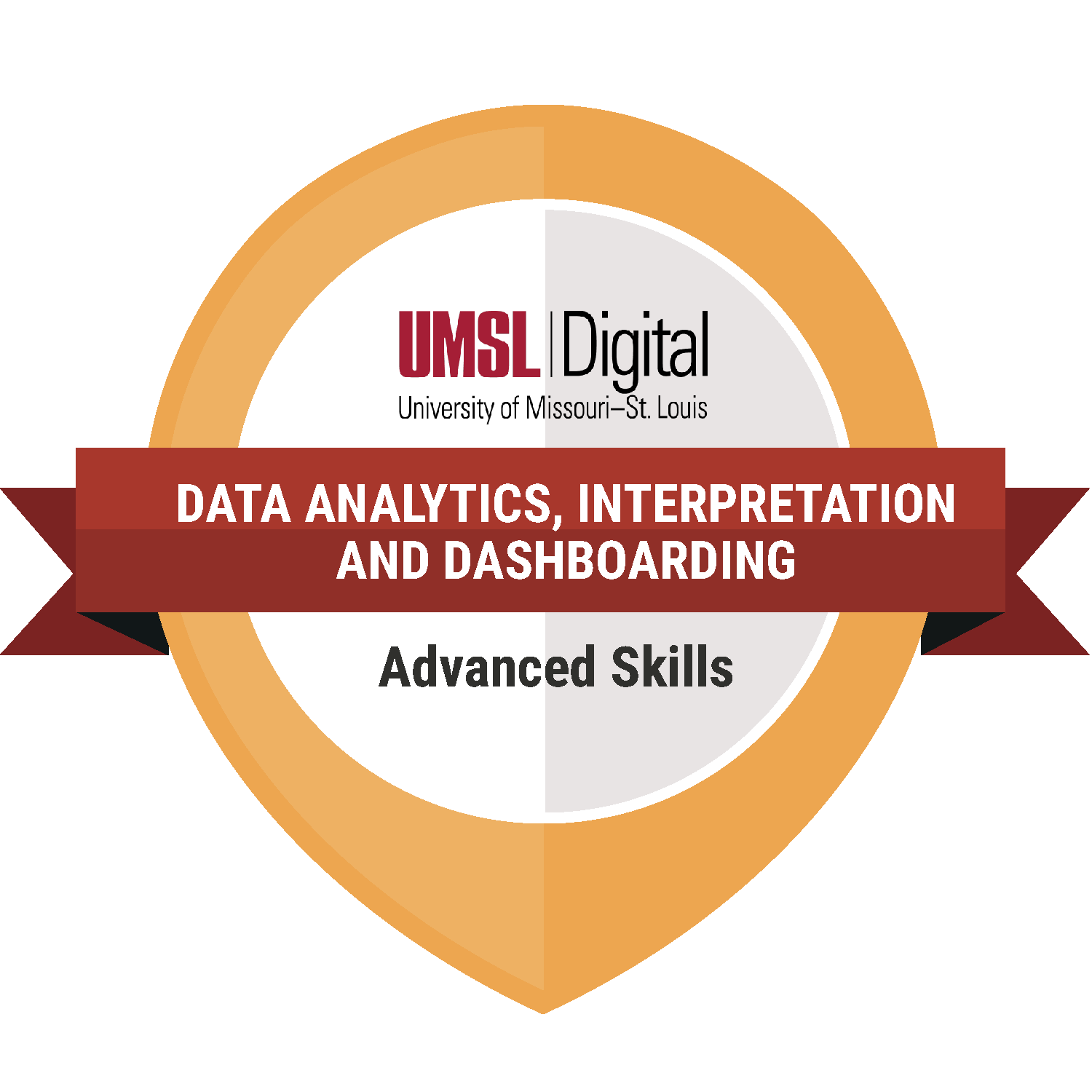 Data Analytics, Insight, and Dashboarding