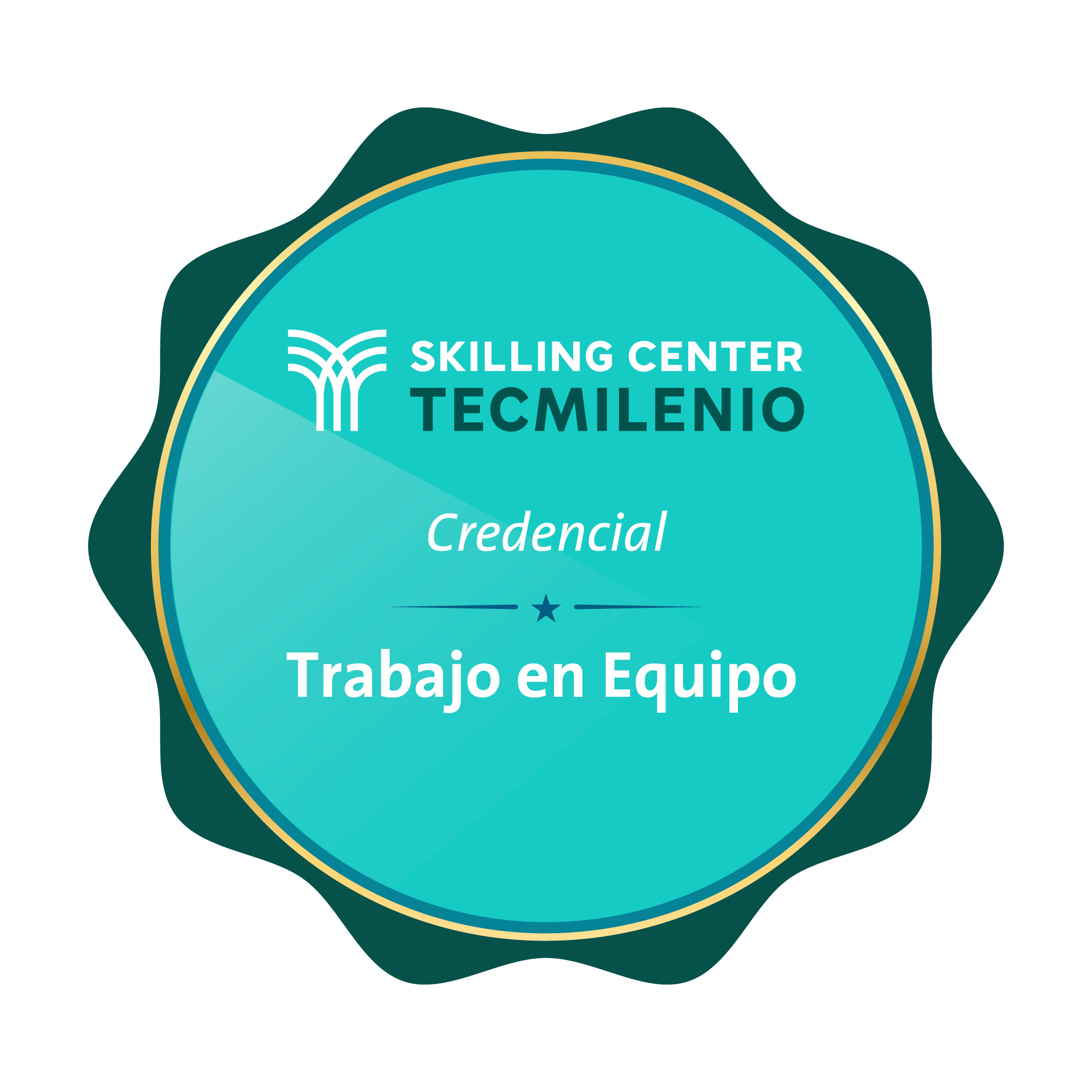 Credencial Trabajo en equipo
