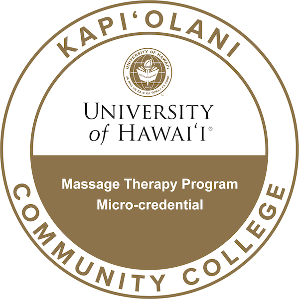 Massage Therapy Program