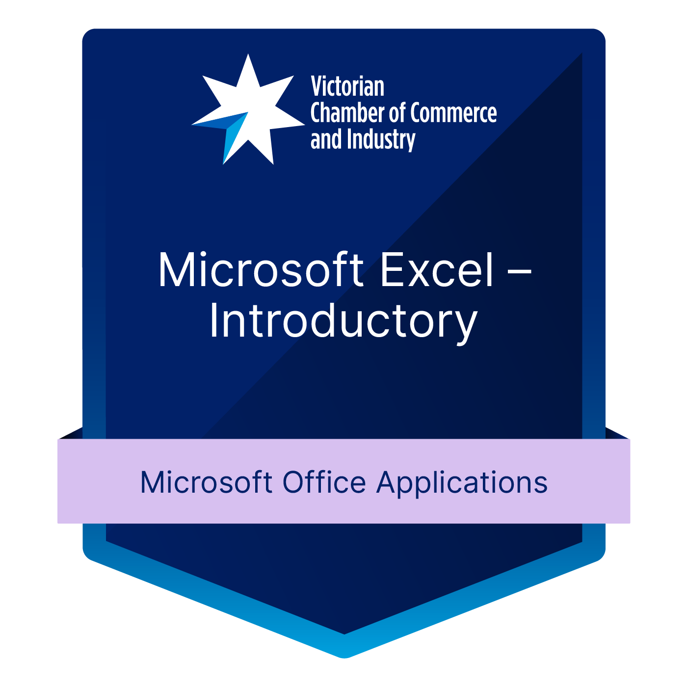 Microsoft Excel - Introductory
