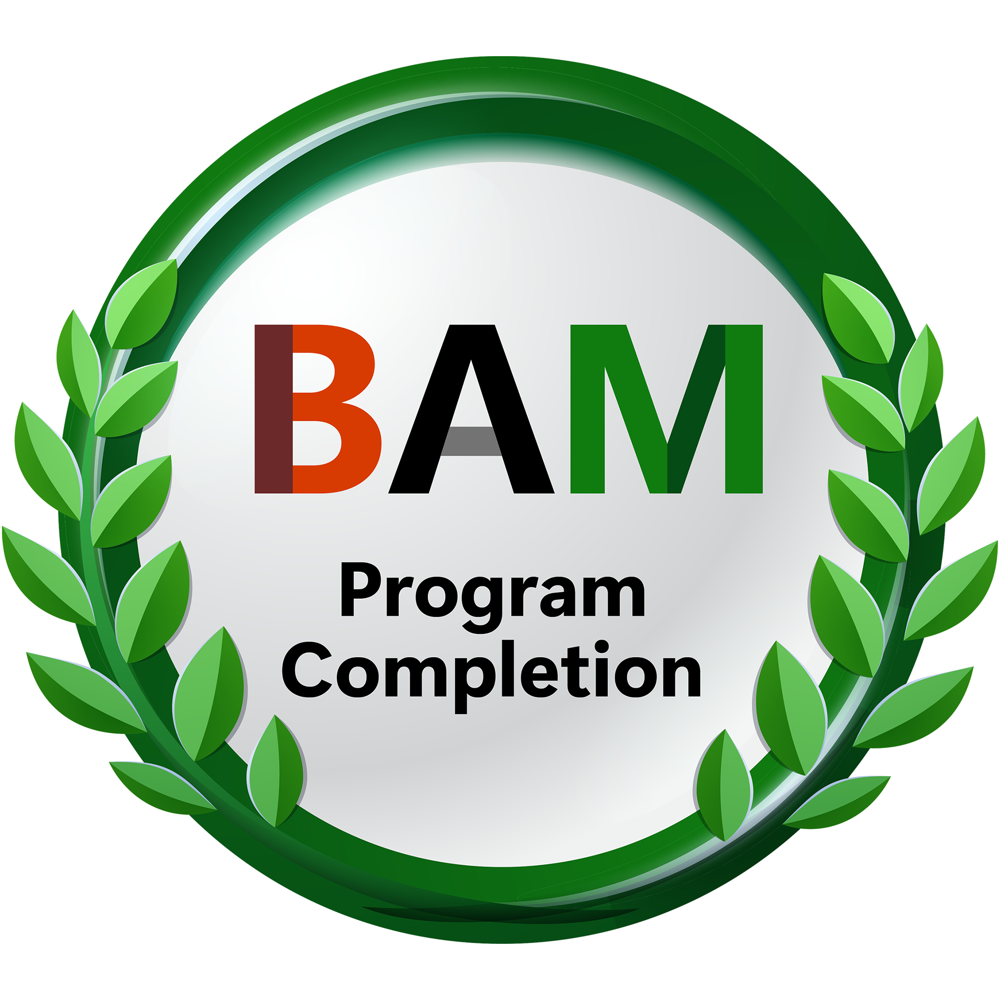 BAM Summer Mentorship Program Completion