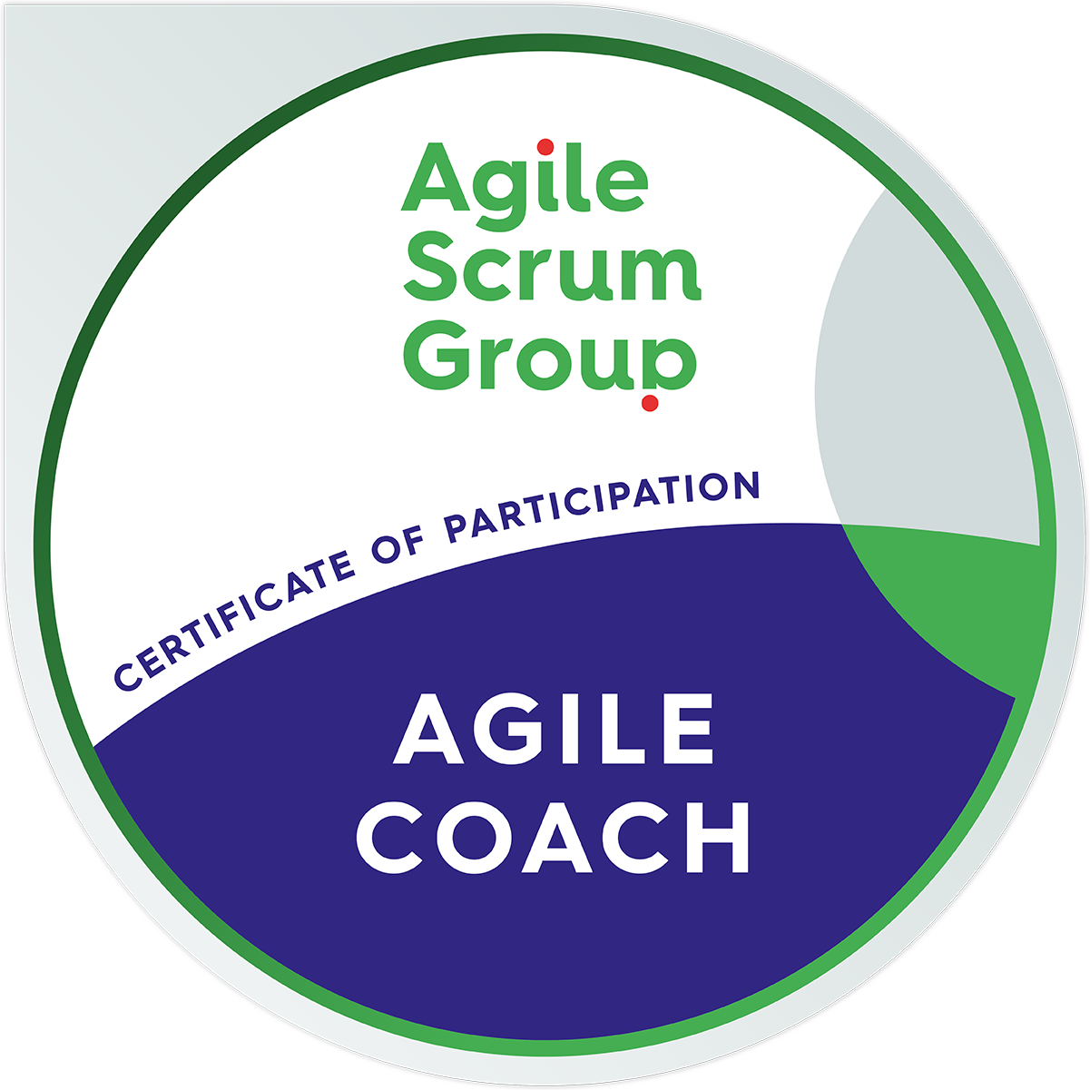 Agile Coach