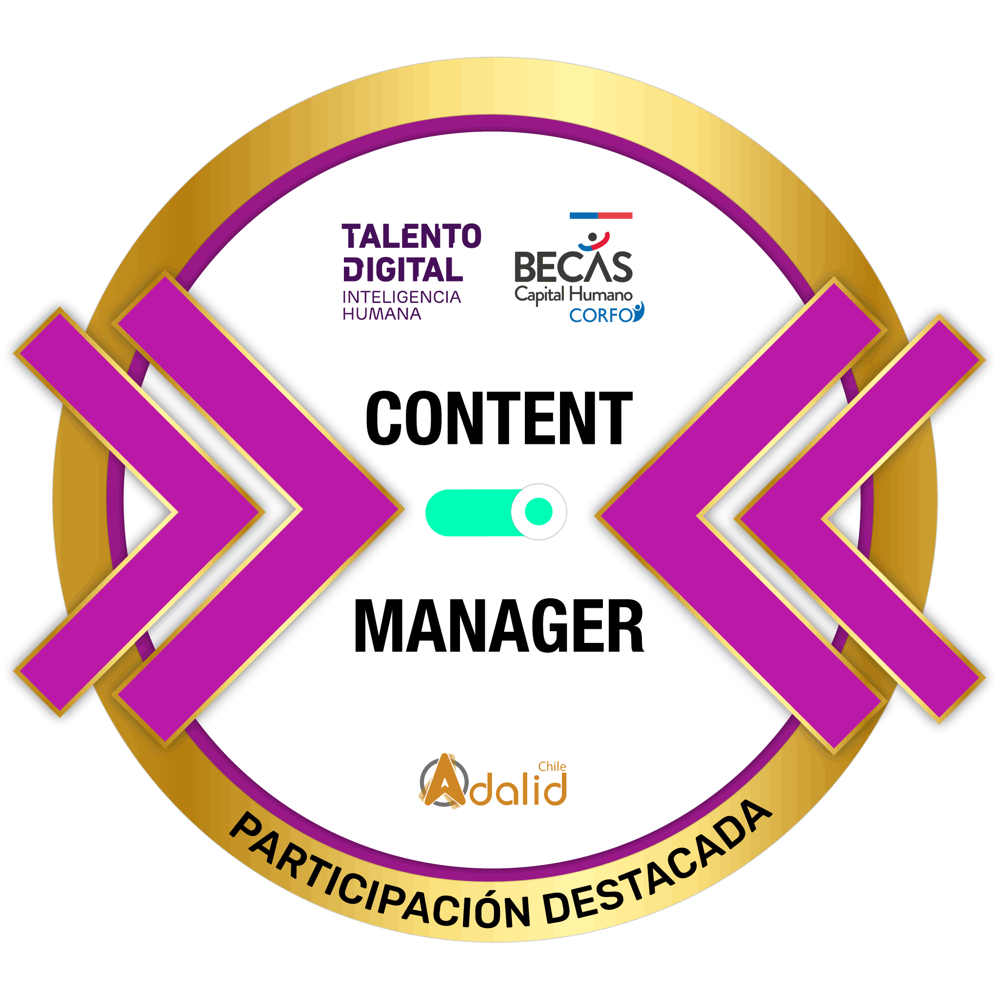 Content Manager | Talento Digital - Corfo. "PARTICIPACIÓN DESTACADA"