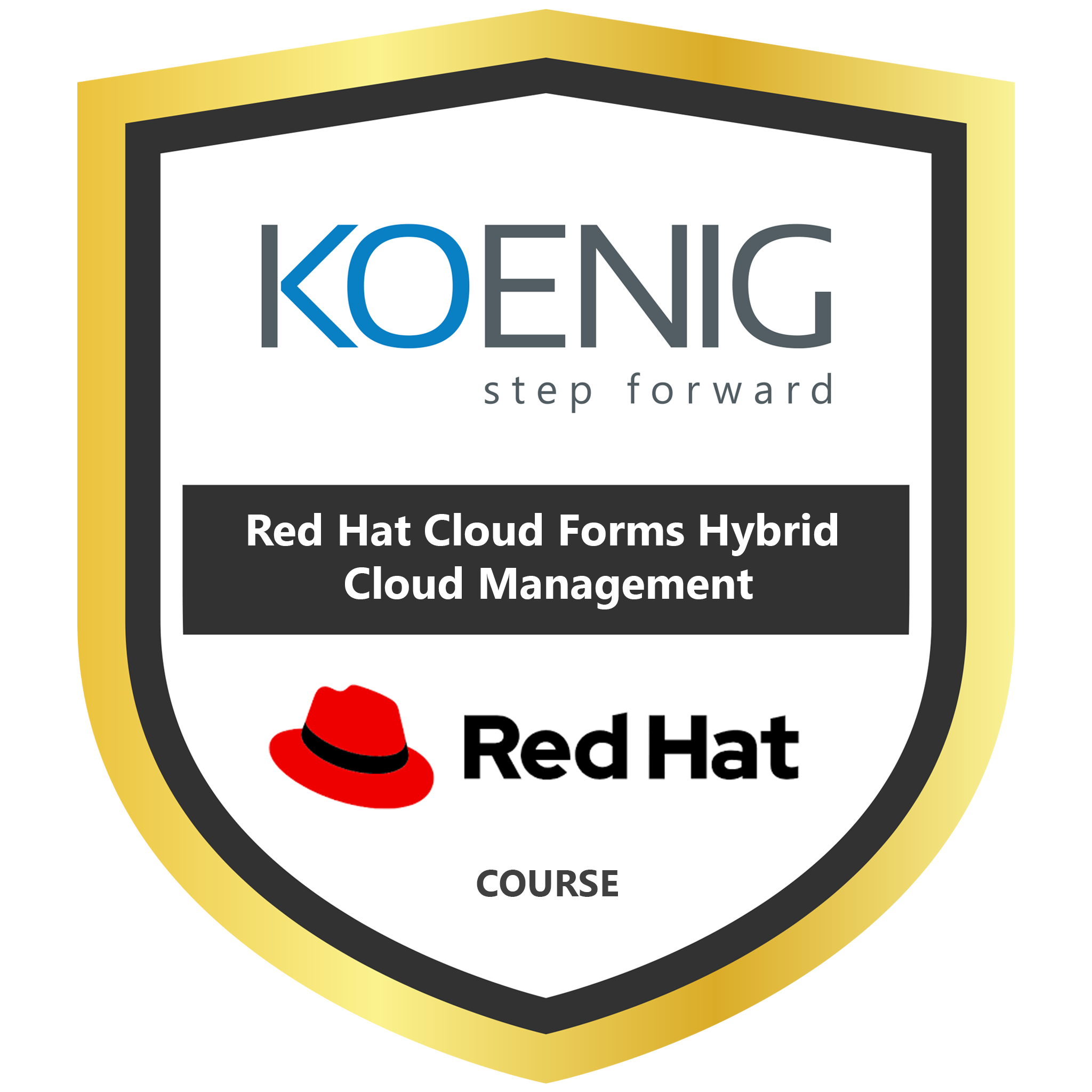Red Hat Cloud Forms Hybrid Cloud Management
