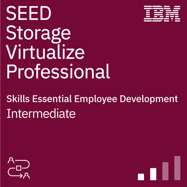 SEED Technical Support Professional - Storage Virtualize