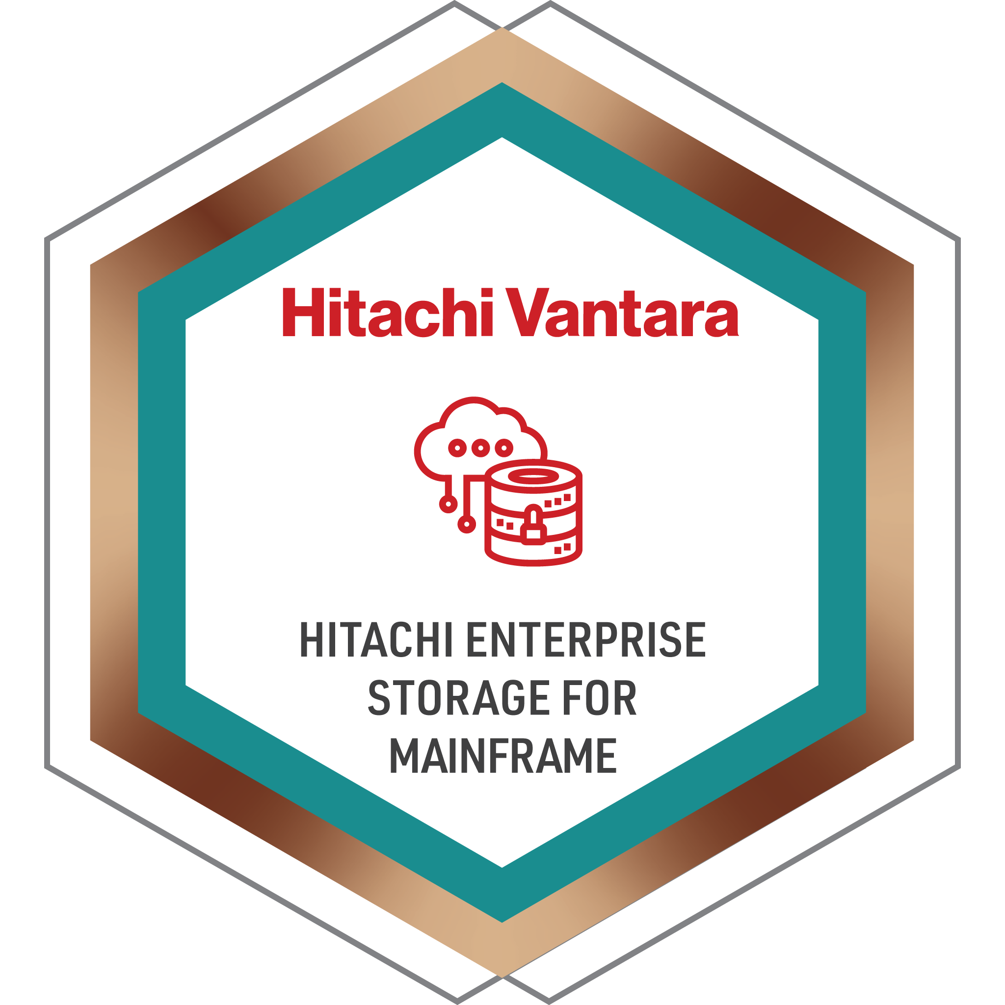 Hitachi Enterprise Storage for Mainframe