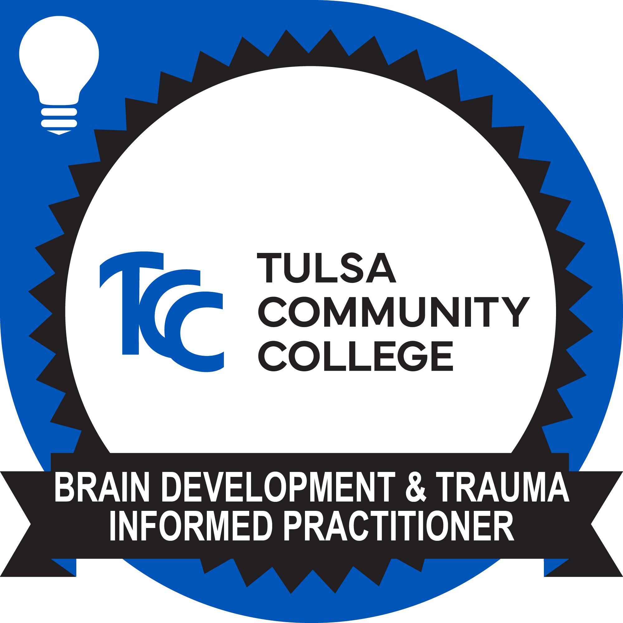 Brain Development & Trauma Informed Practitioner