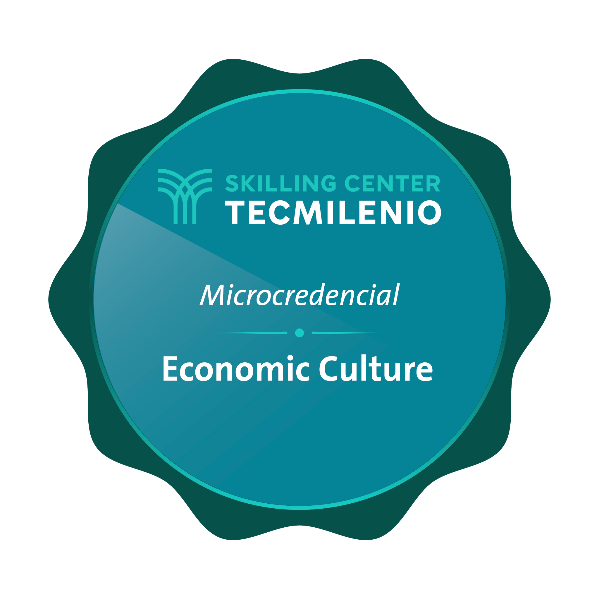 Microcredencial Economic culture