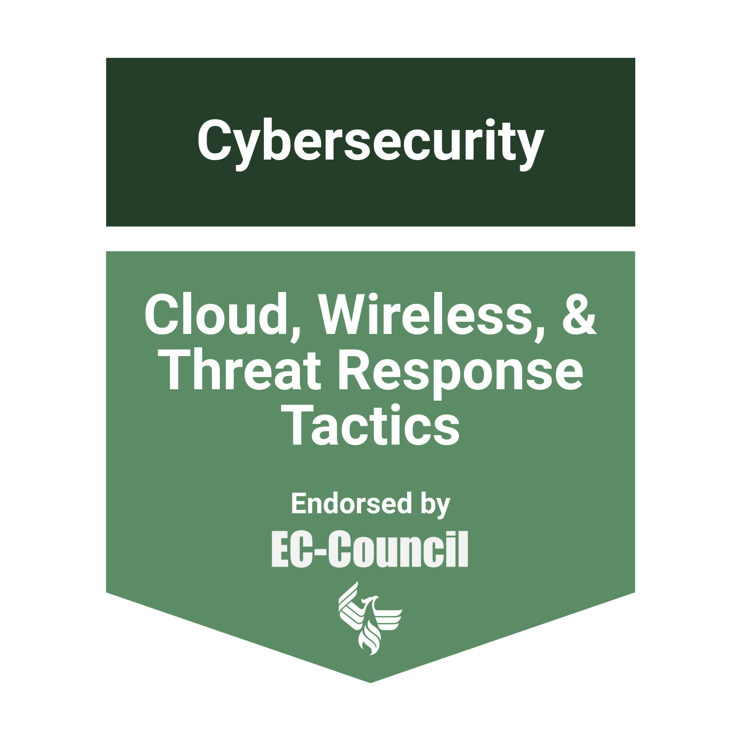 Cloud, Wireless, & Threat Response Tactics