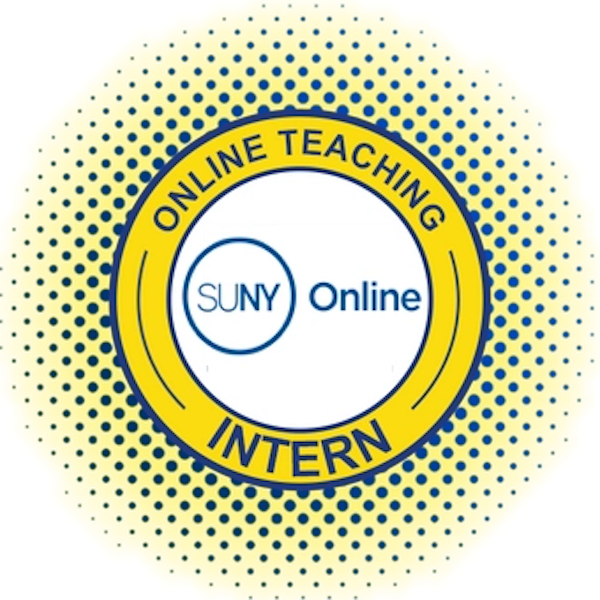 SUNY Online Teaching Intern