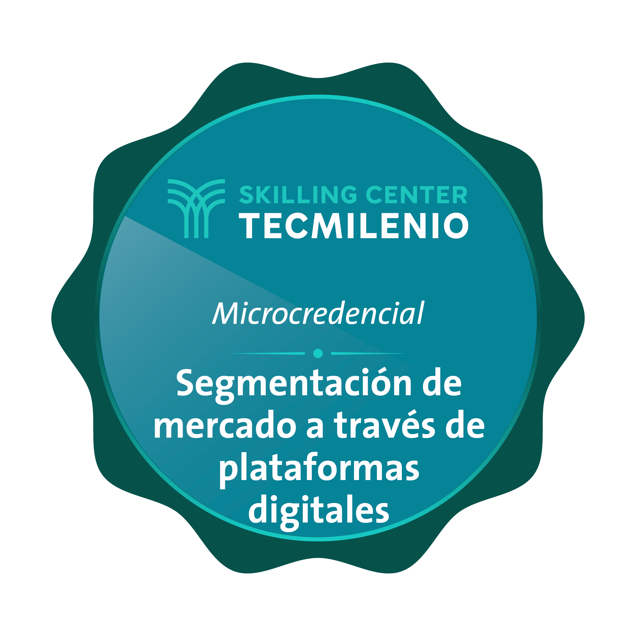 Microcredencial Segmentación de mercado a través de plataformas digitales