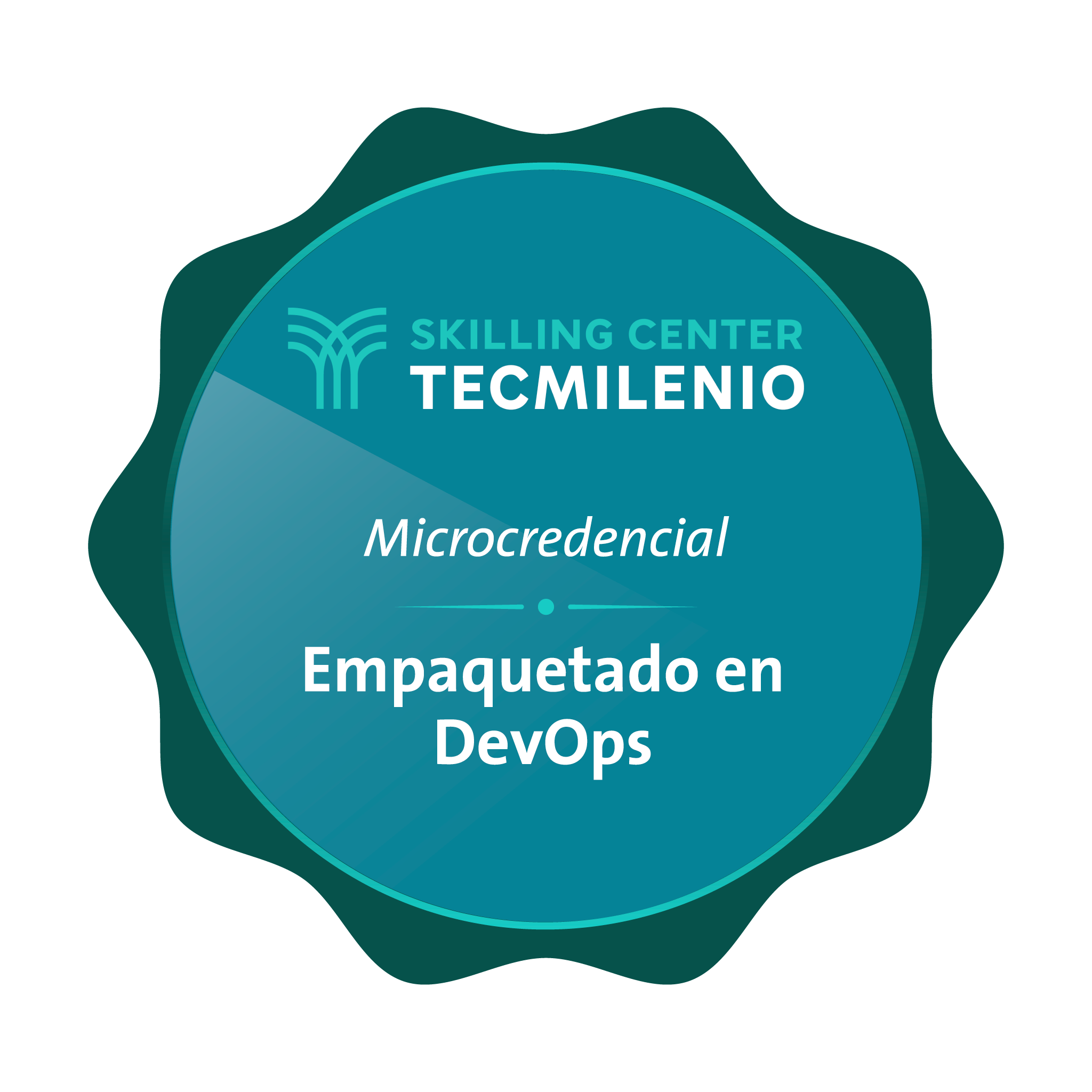 Microcredencial Empaquetado en DevOps