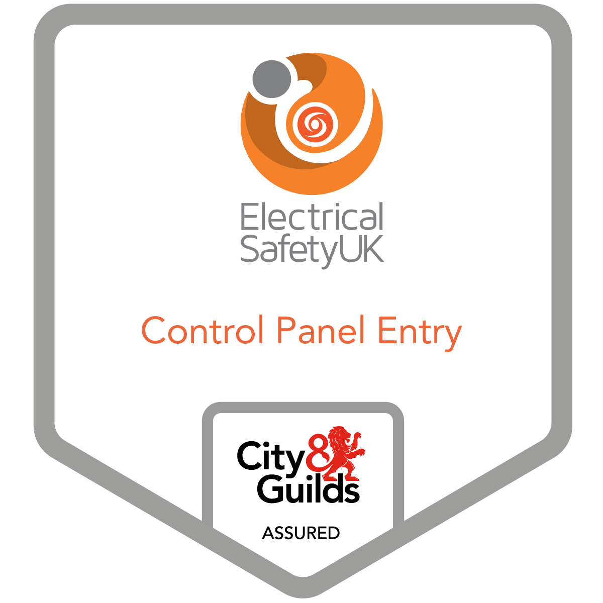 Safe Electrical Control Panel Entry Training Programme Credly